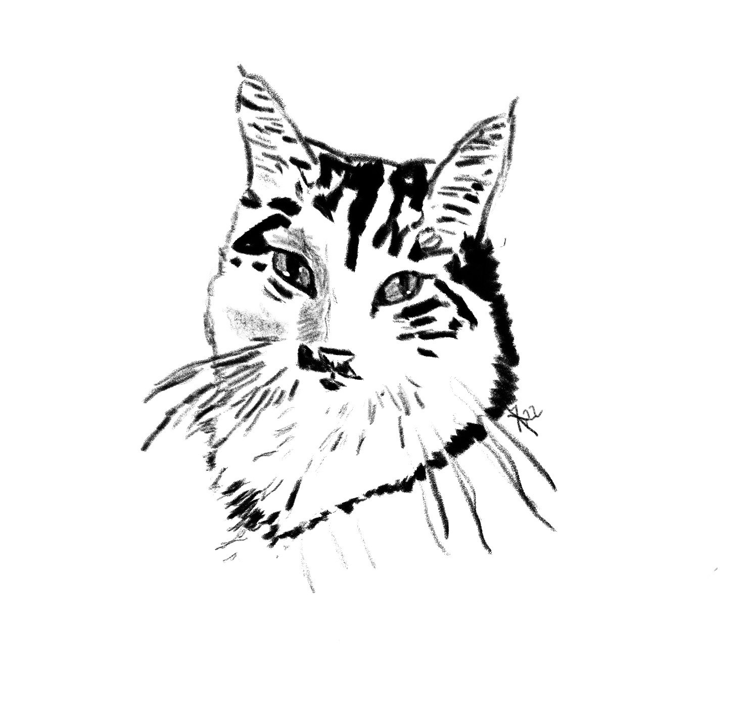 IMG_0882.jpeg