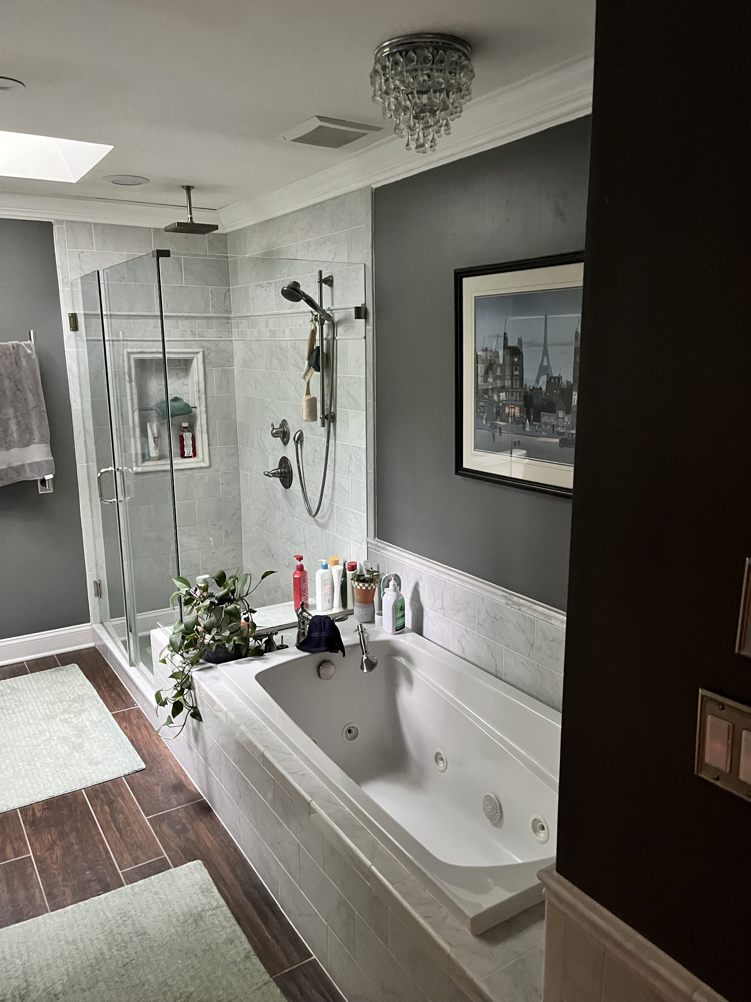 A bathroom with a bathtub in the foreground and a walk-in shower in the background. The bathtub has a potted plant and various toiletries on the edge. The shower has glass doors, showerhead, and built-in shelf with bottles. There is a framed picture 