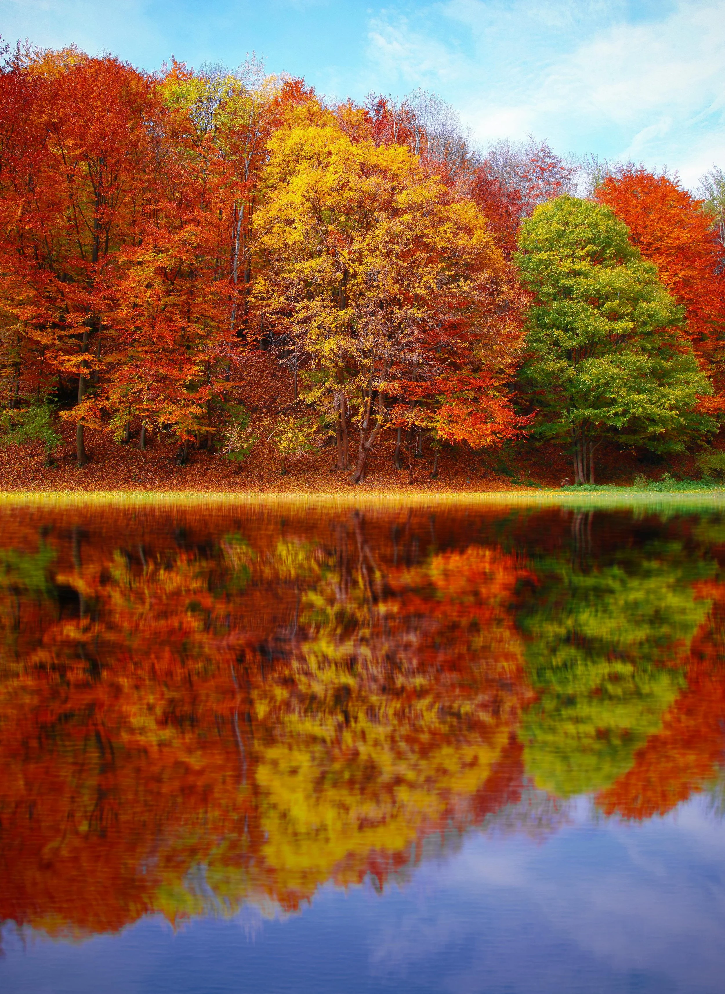 Autumn trees reflected in still water, symbolizing change, reflection, and transitions over time.