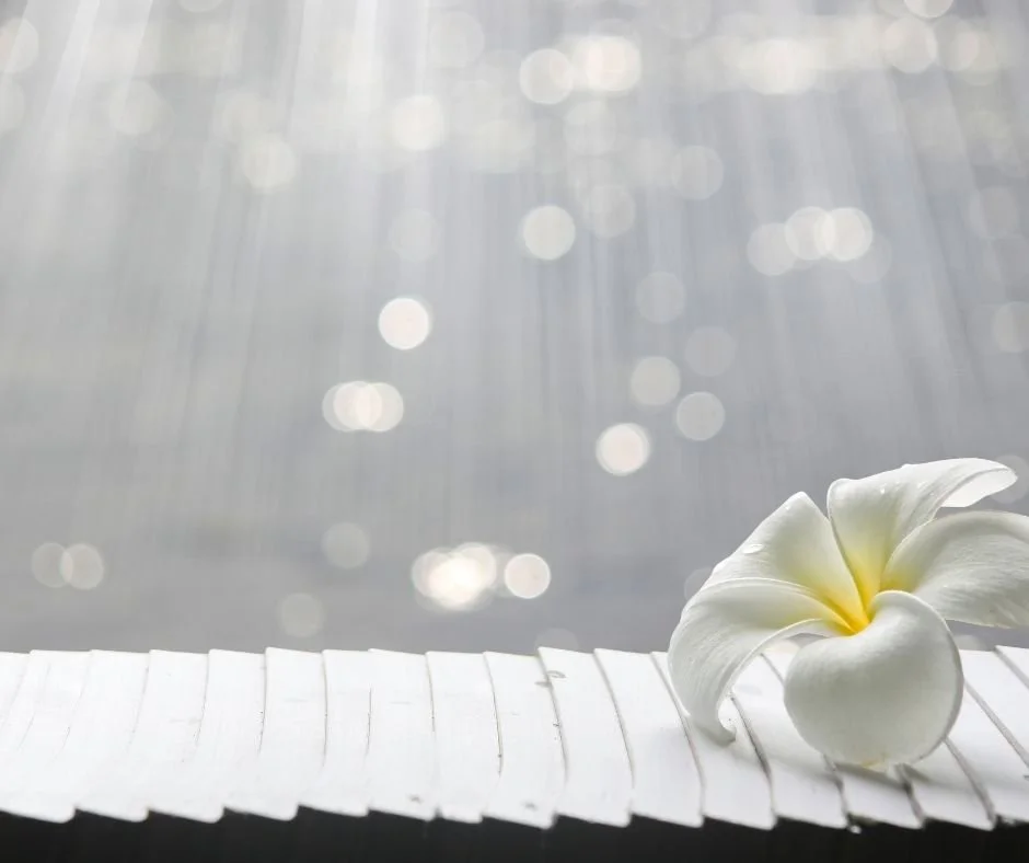 White flower resting on a bright, peaceful surface with soft light in the background, symbolizing calm and reflection for therapy in Danville.