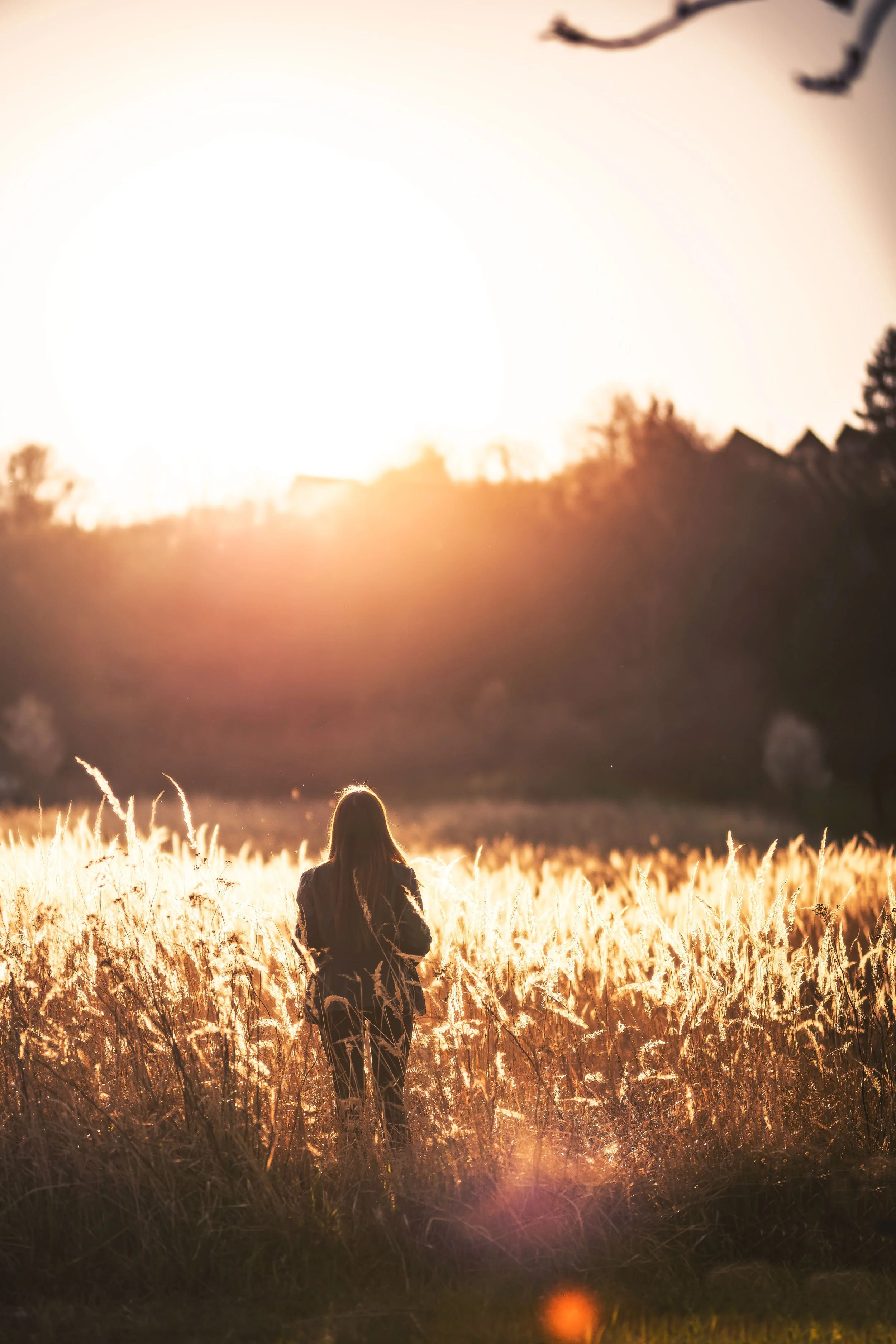A woman stands in a sunlit field during sunset, creating a serene atmosphere to contemplate midlife transitions.