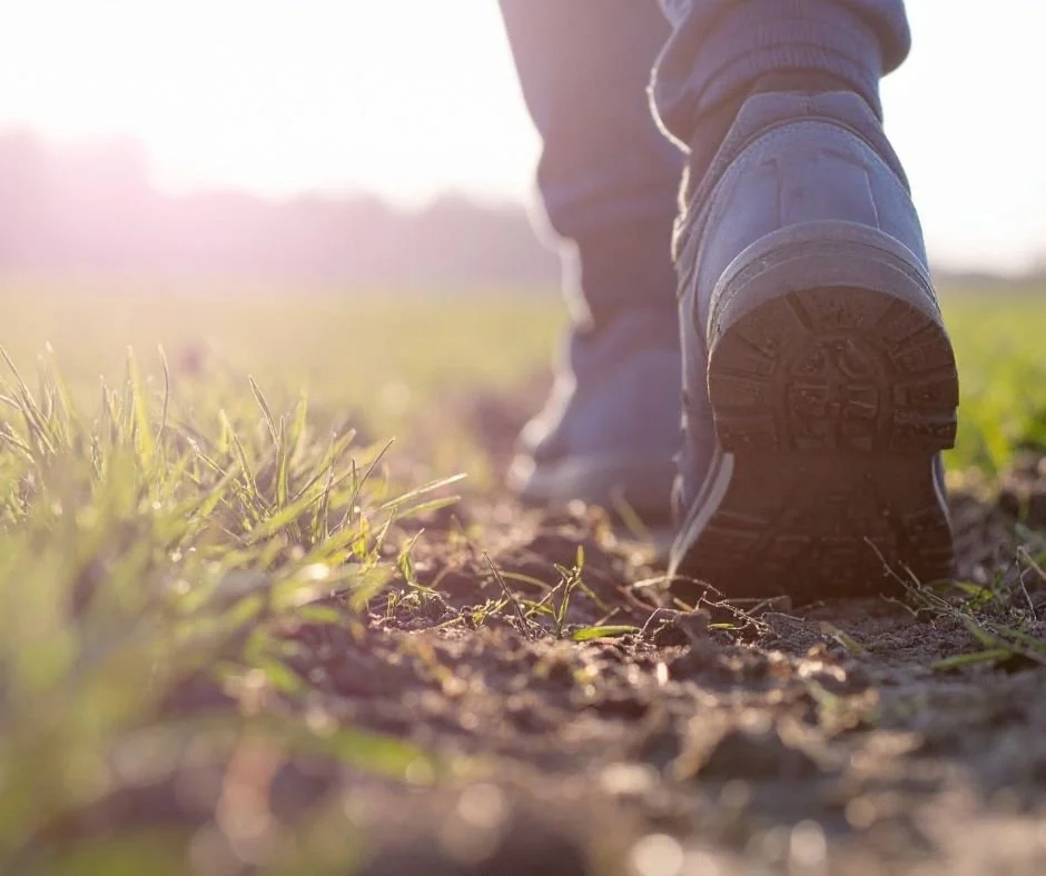 Close-up of a person walking on a dirt path through grass in warm sunlight, representing forward movement and personal growth in therapy in Danville.