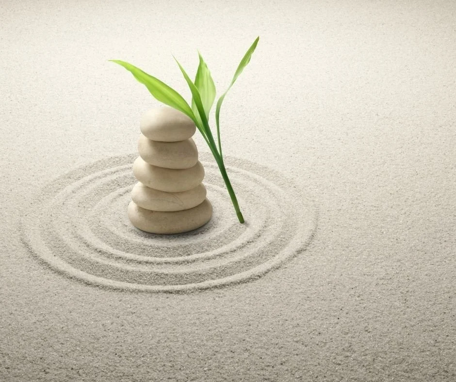 Balanced stack of smooth stones beside a green sprout on raked sand, with rippled circles surrounding it