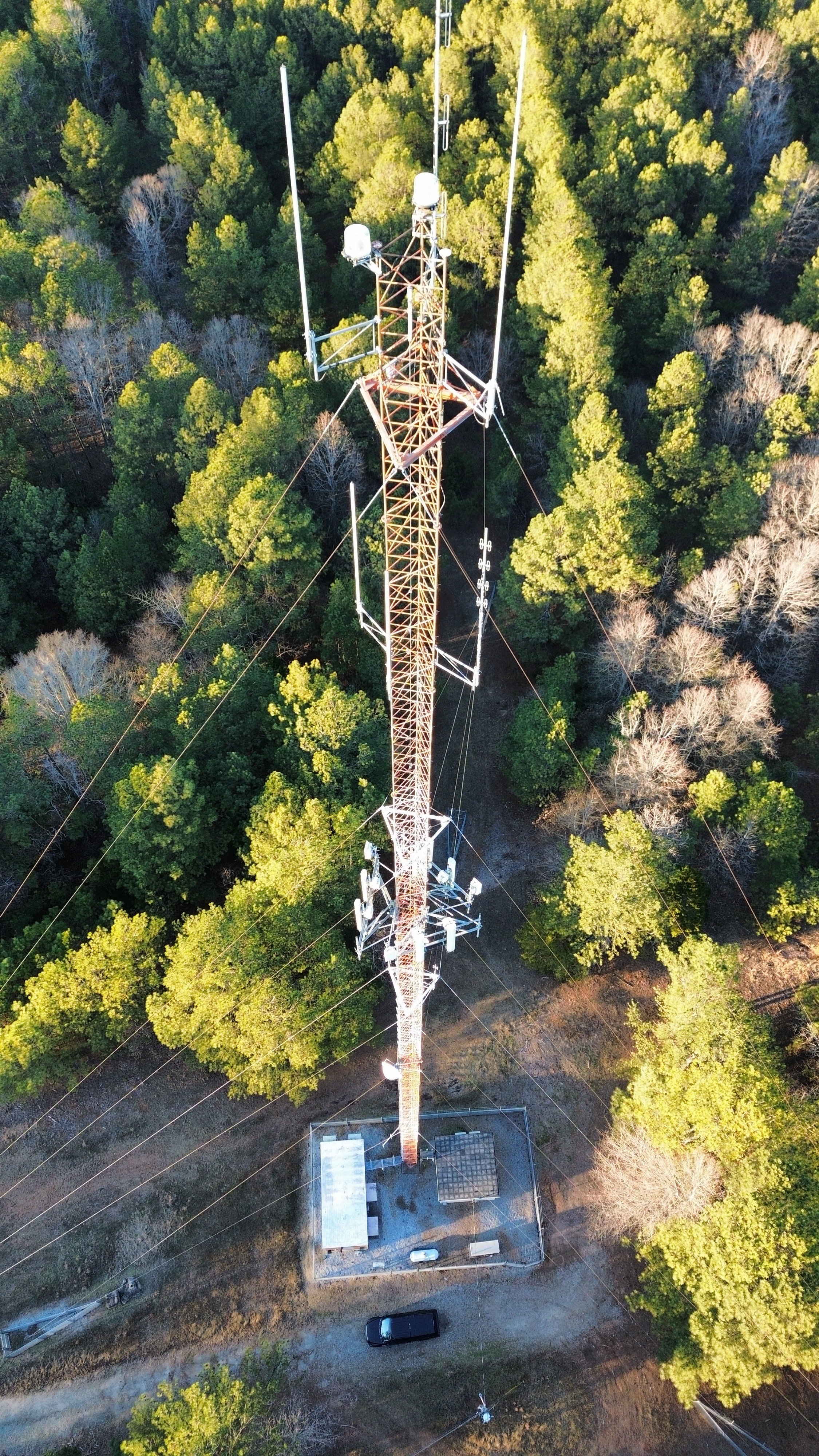Radio Cell Guyed Tower Portrait.JPG
