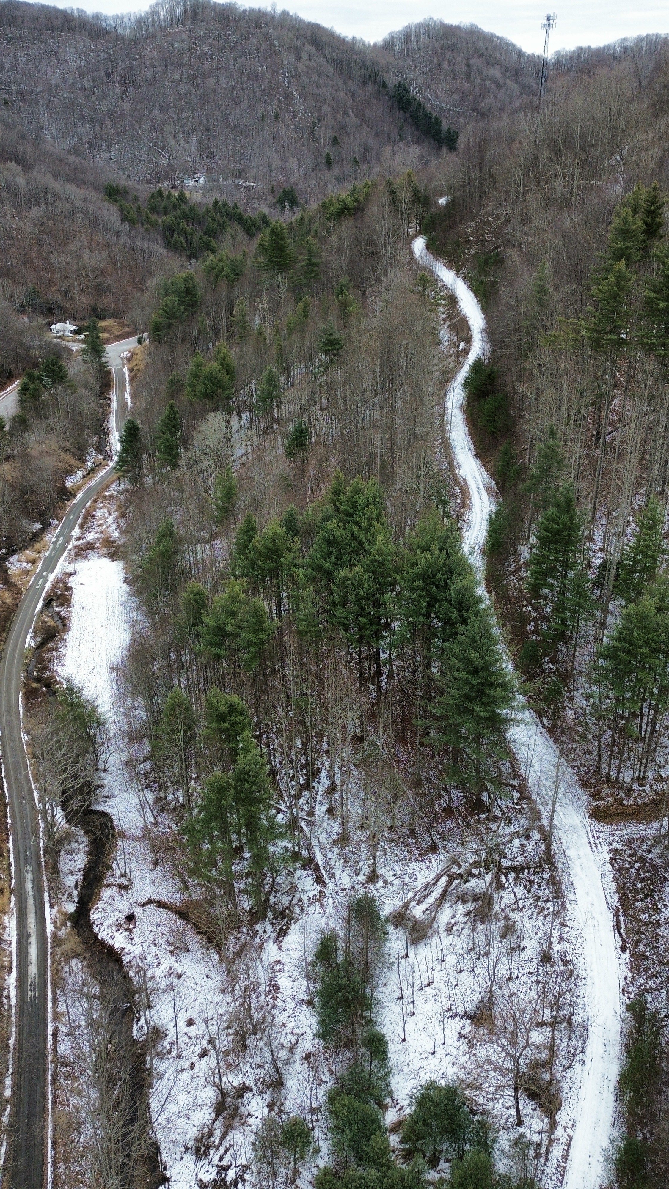 dji_fly_20260208_163618_68_1770591281821_photo_optimized.JPG