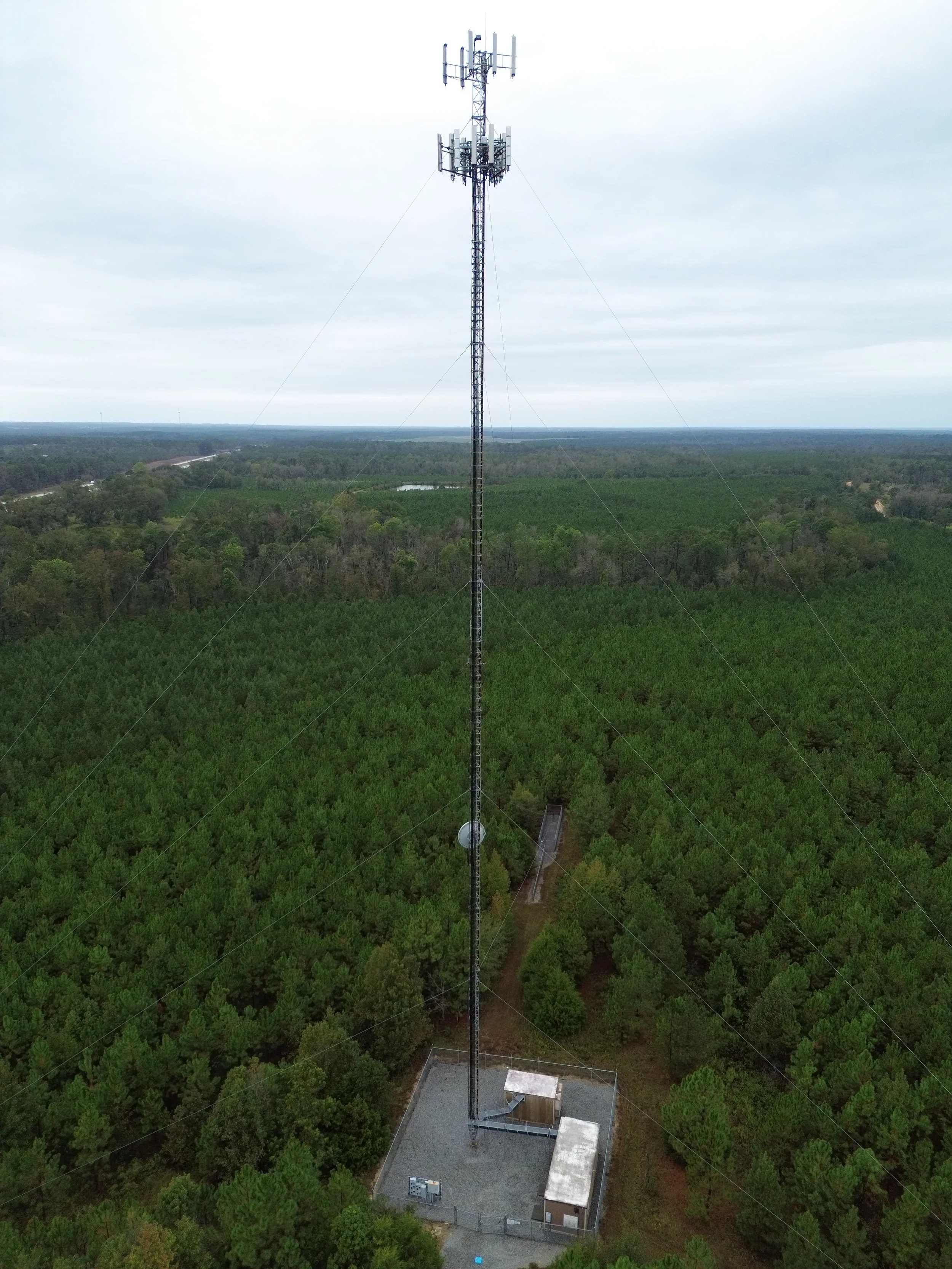 Guyed Cell Tower Portrait.JPG