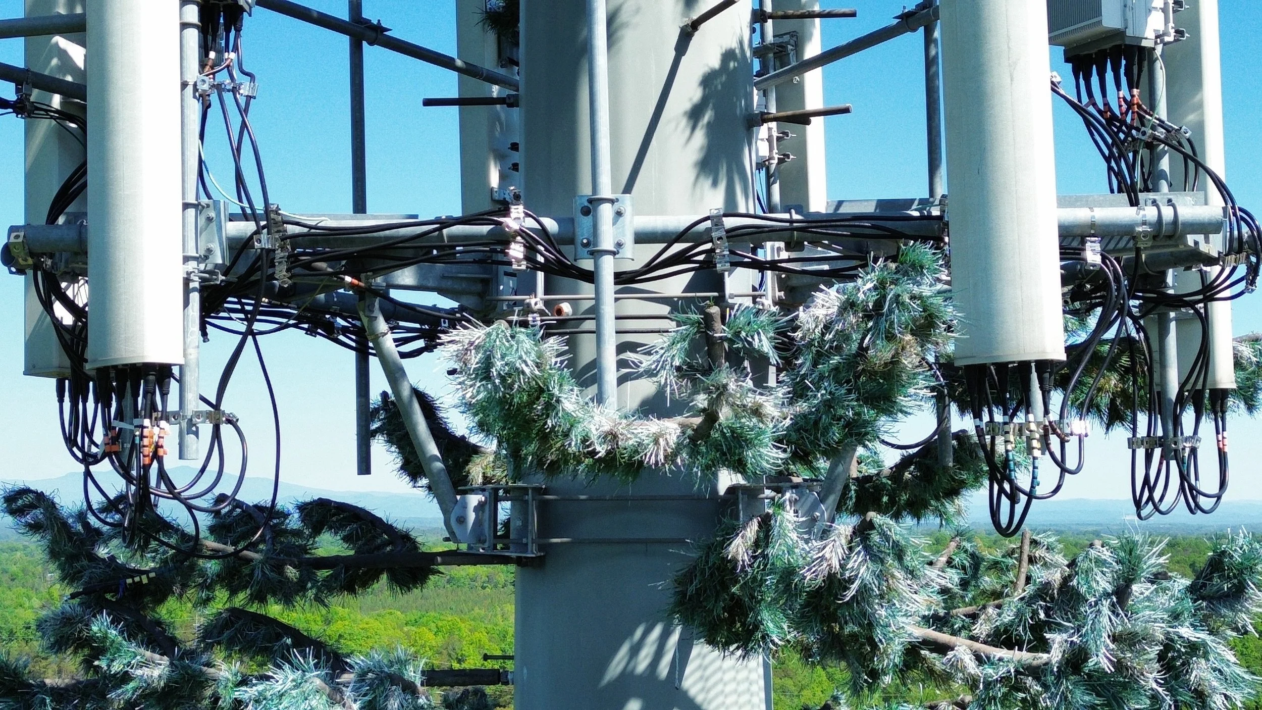 Close Up Antenna Wires Landscape.JPG
