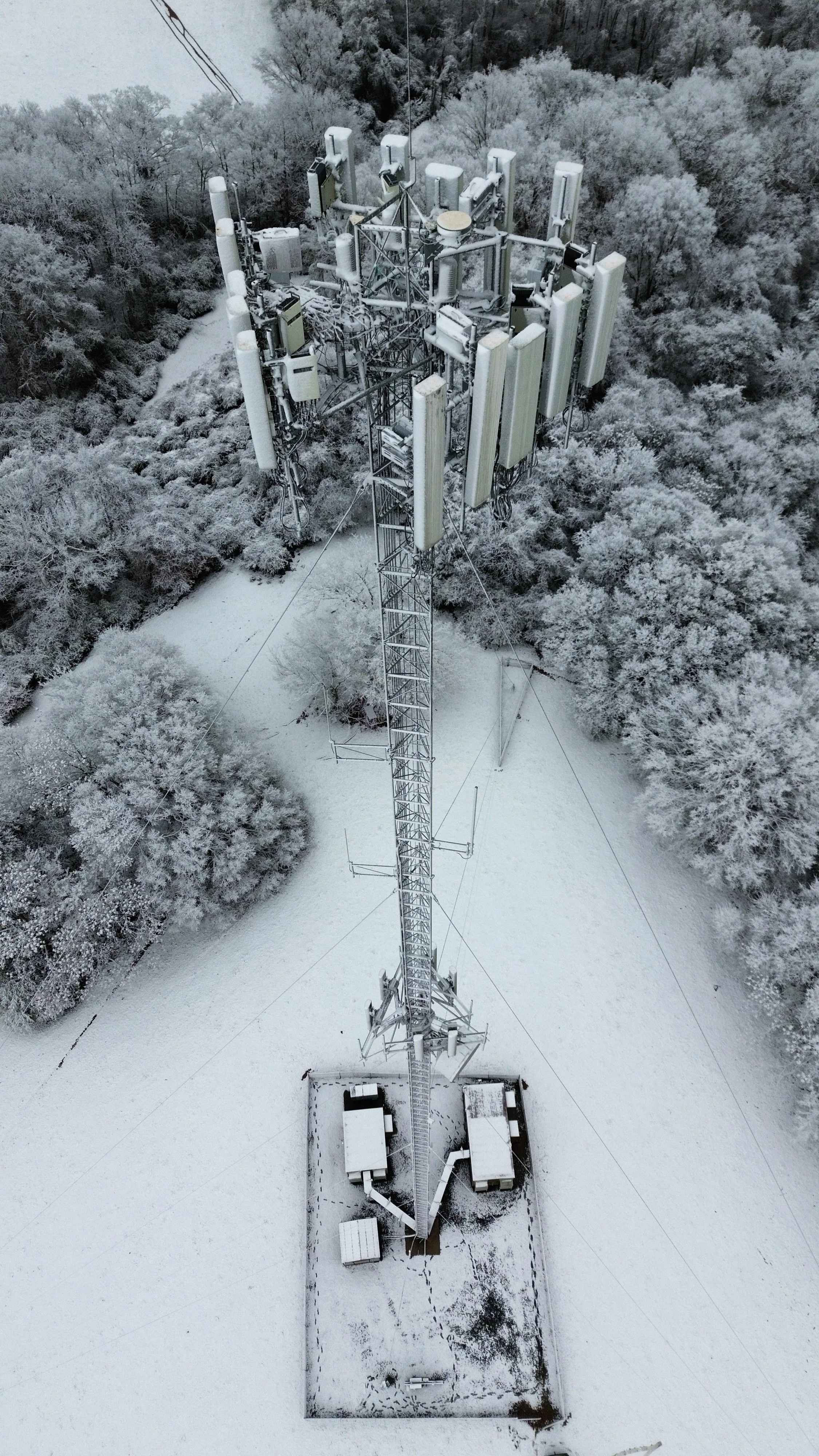 dji_fly_20260118_092904_945_1768763265944_photo_optimized.JPG