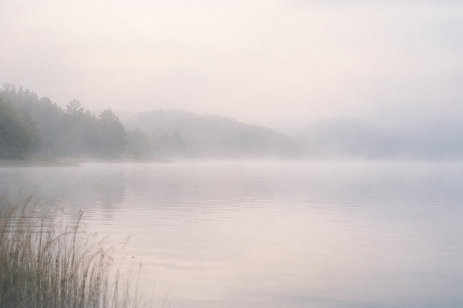 Notes From Cassandra — Welcoming 2026