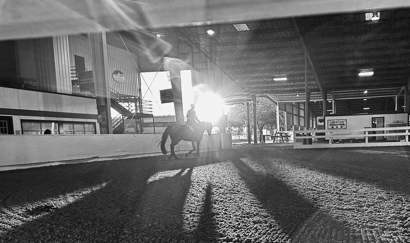 How Texas Heat and Humidity Affect Your Horse’s Hooves
