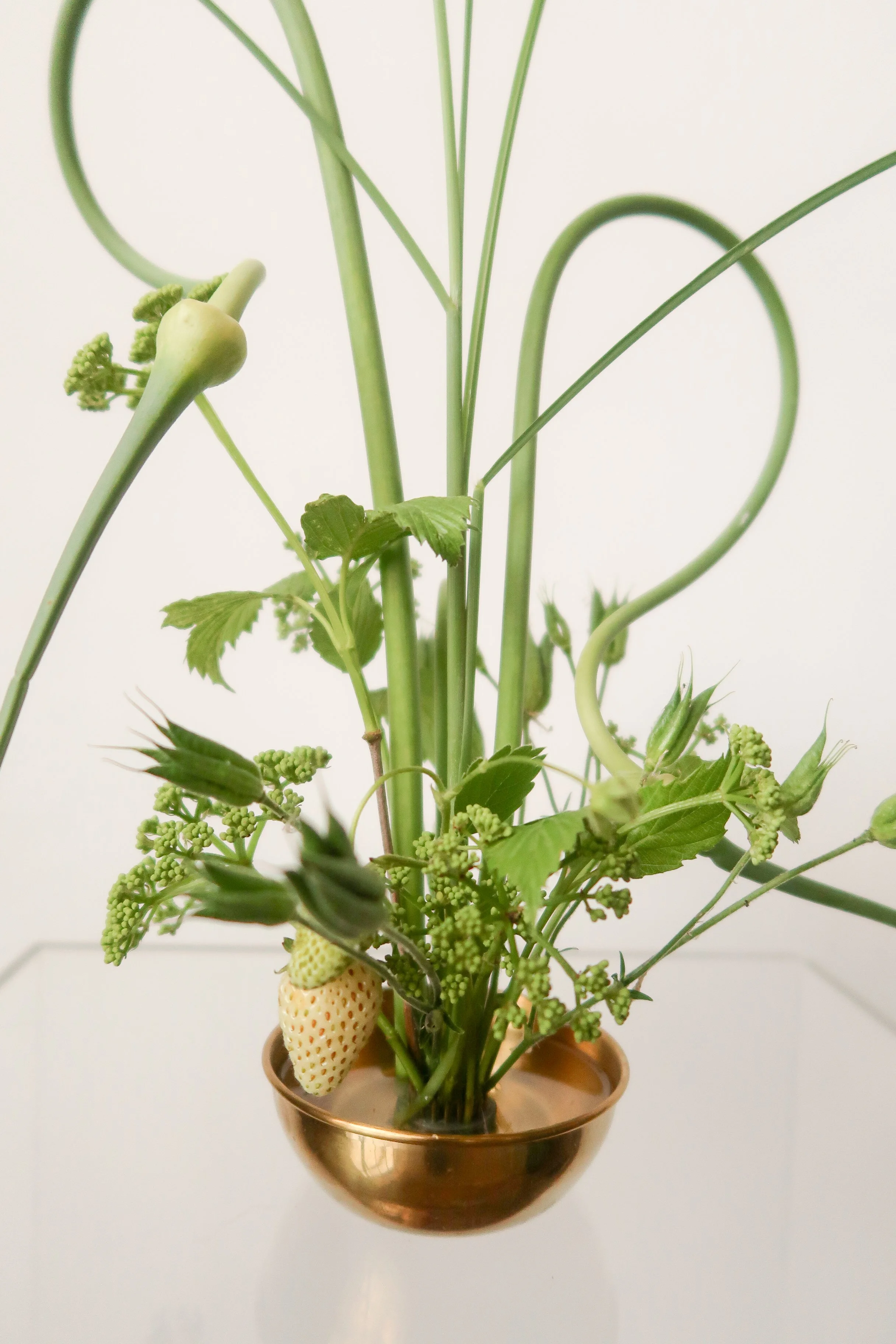 For Good Radish Flowers