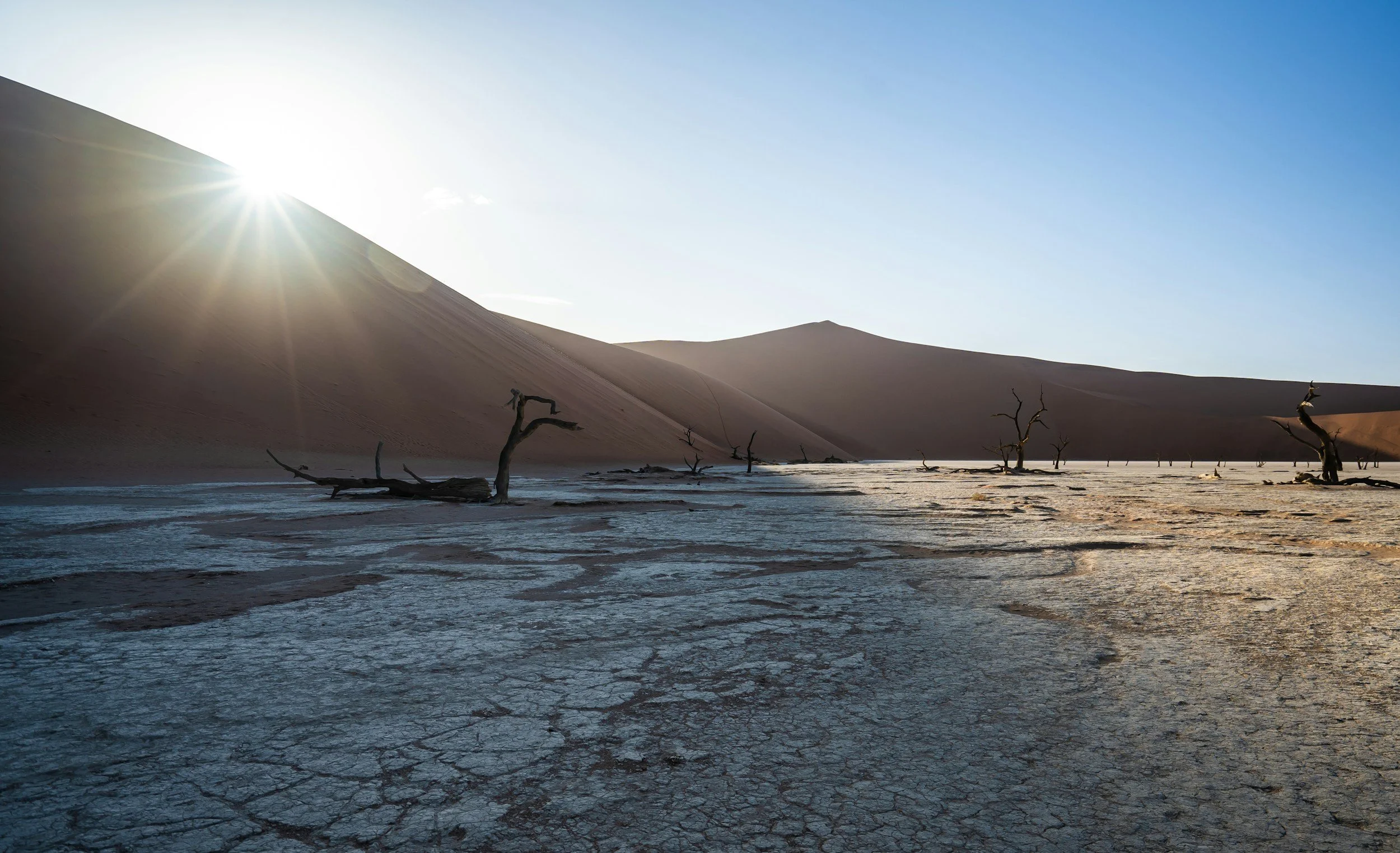 Could a Strong El Niño Affect Florida in 2026? Here's What Homeowners Should Know