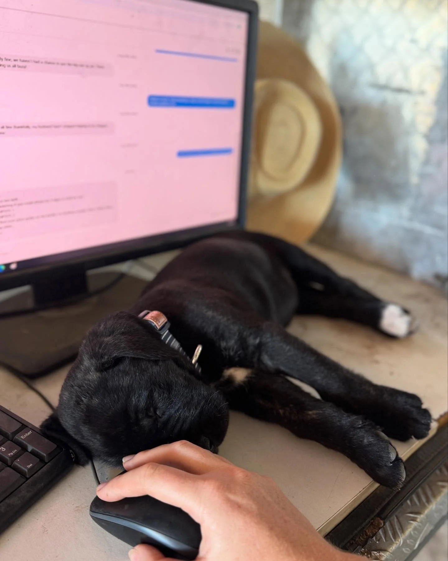 Anyone waiting on a draft, big dog and I are on it. Keep an eye on your inbox today ❤️❤️