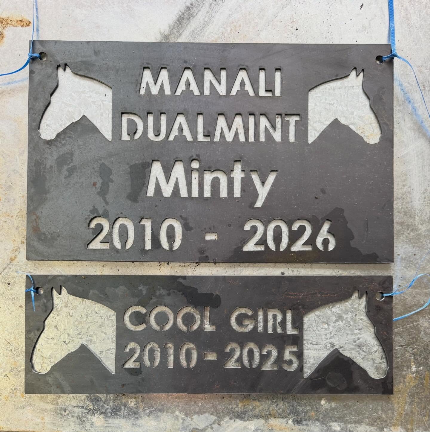 The only thing our pets do wrong is they don&rsquo;t live long enough. A special way to remember your best friend. Custom memorials available dm for details.