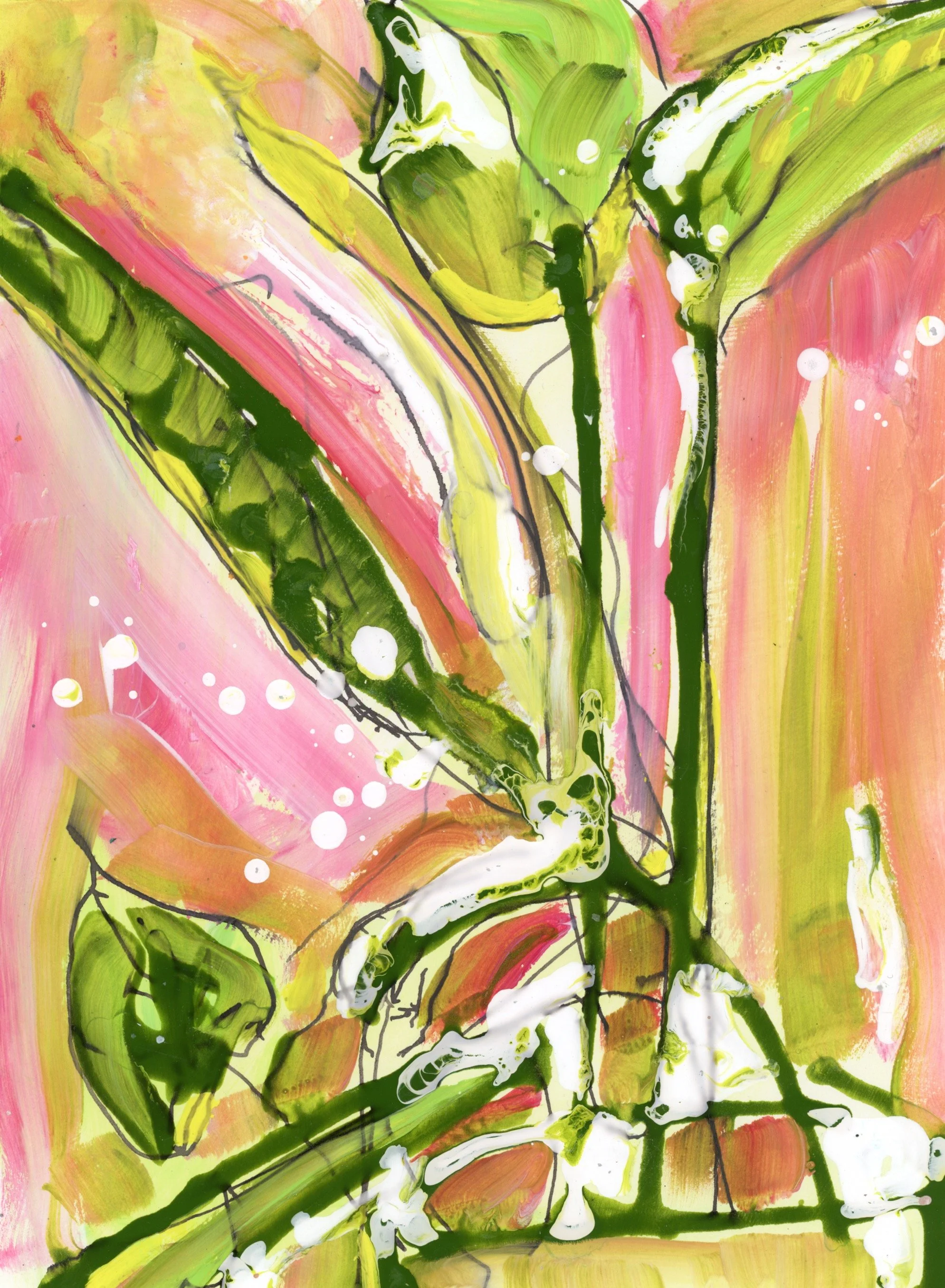 Bloom