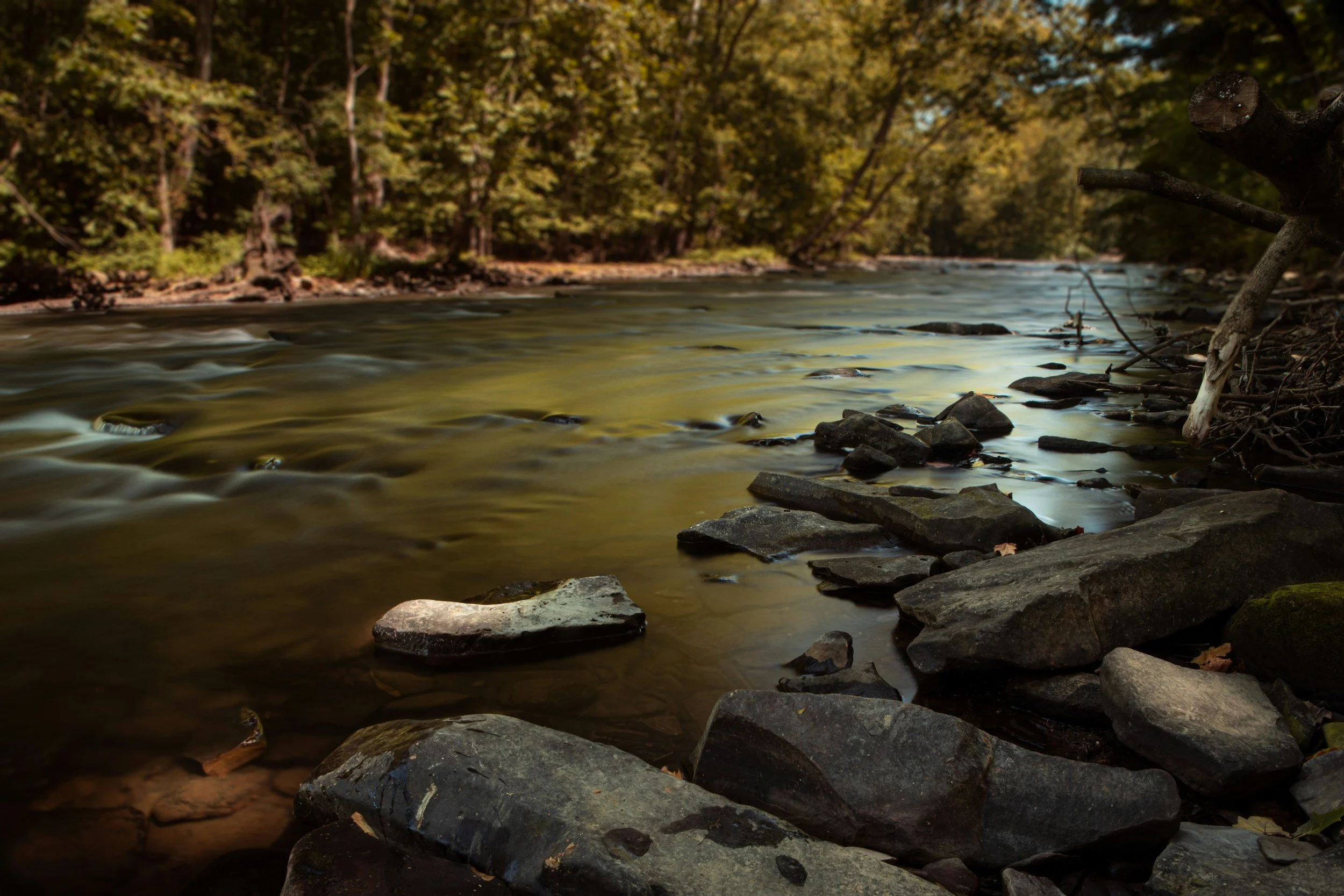 Smooth flowing river surrounded by trees and rocks in warm light, symbolizing gradual movement, reflection, and the grounded calm embodied by Gradients Counseling.