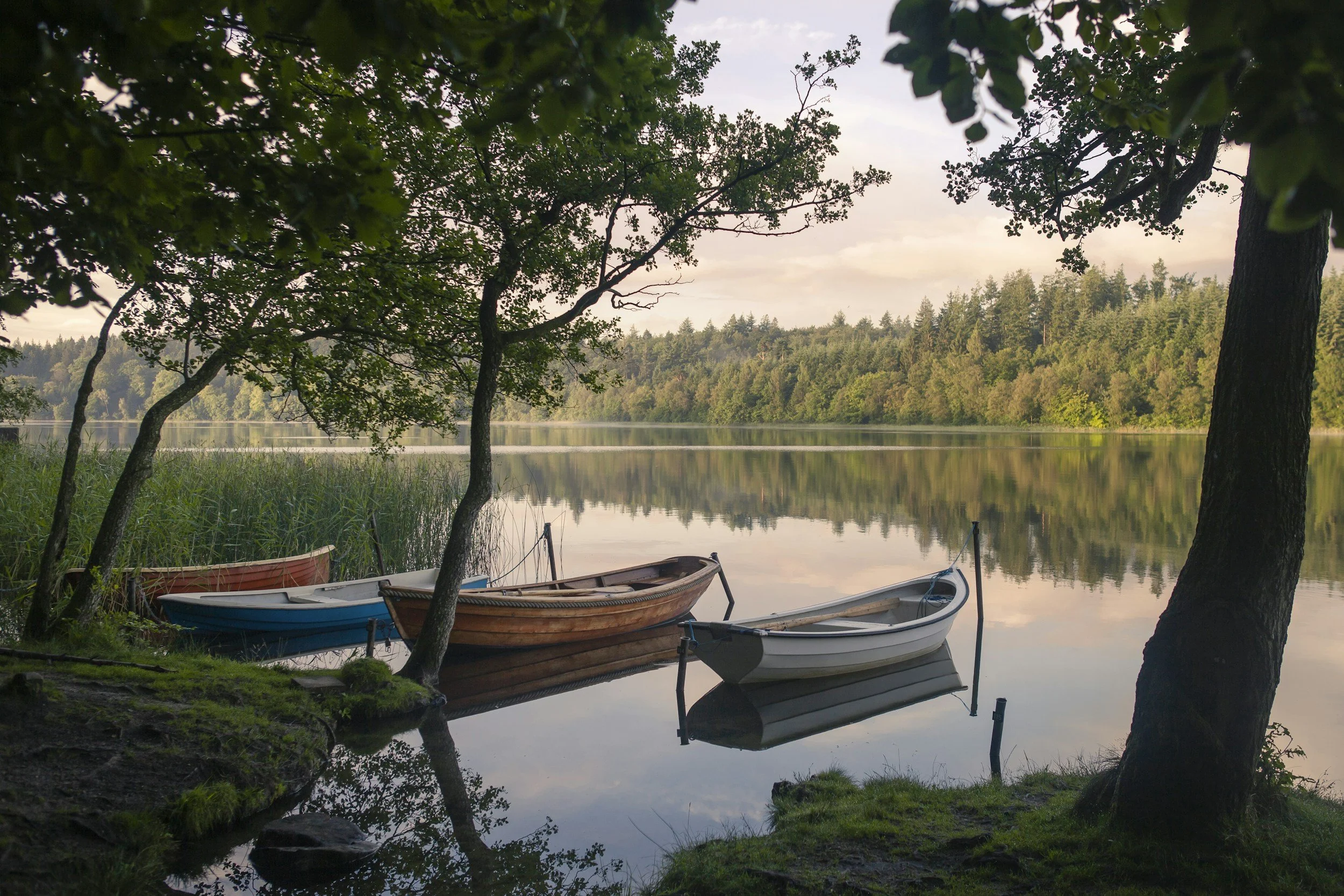 Three small wooden boats resting on a calm lake surrounded by trees, reflecting peace, balance, and gentle movement — embodying Gradients Counseling’s grounded and reflective approach to growth.