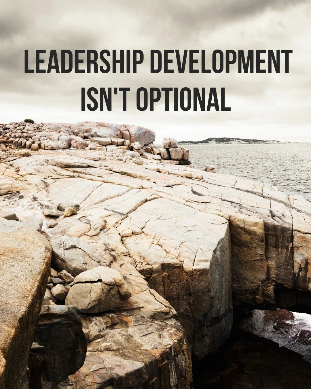 Your organization will only grow as far as your leaders can take it.
You can have the best mission, the most compelling cause, and a donor base ready to give - none of it matters if your leadership team can't execute. If they can't make hard calls. I