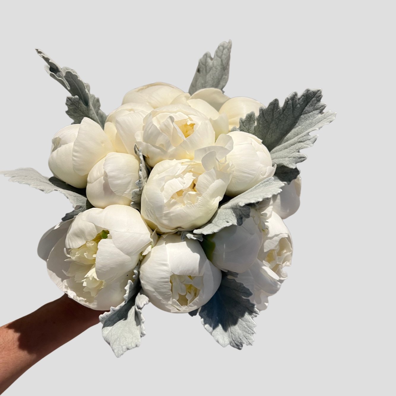 Ramo de Novia "Peony White"