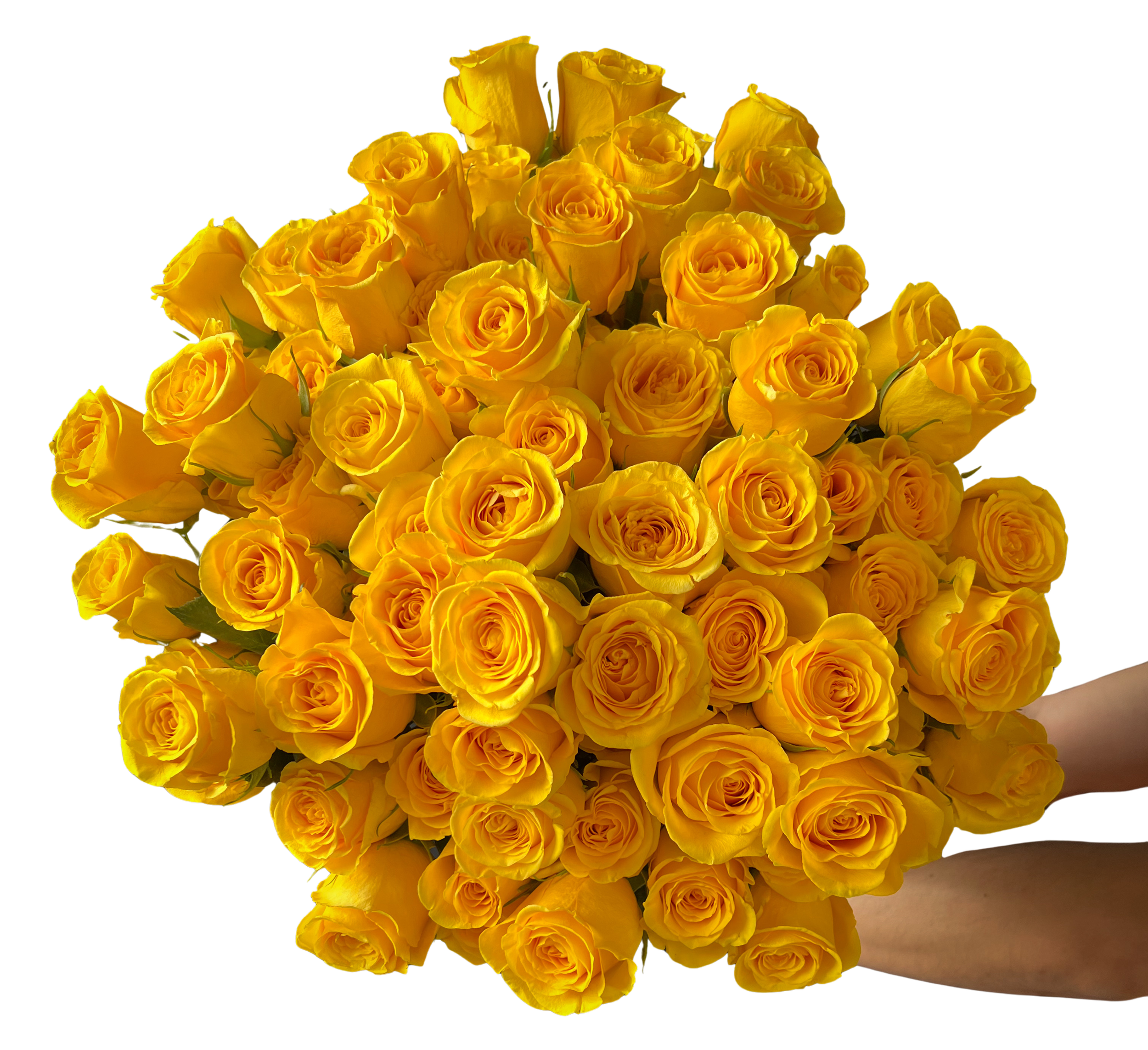 0eb5b1bc-f23a-4377-94a8-28471e915734.png