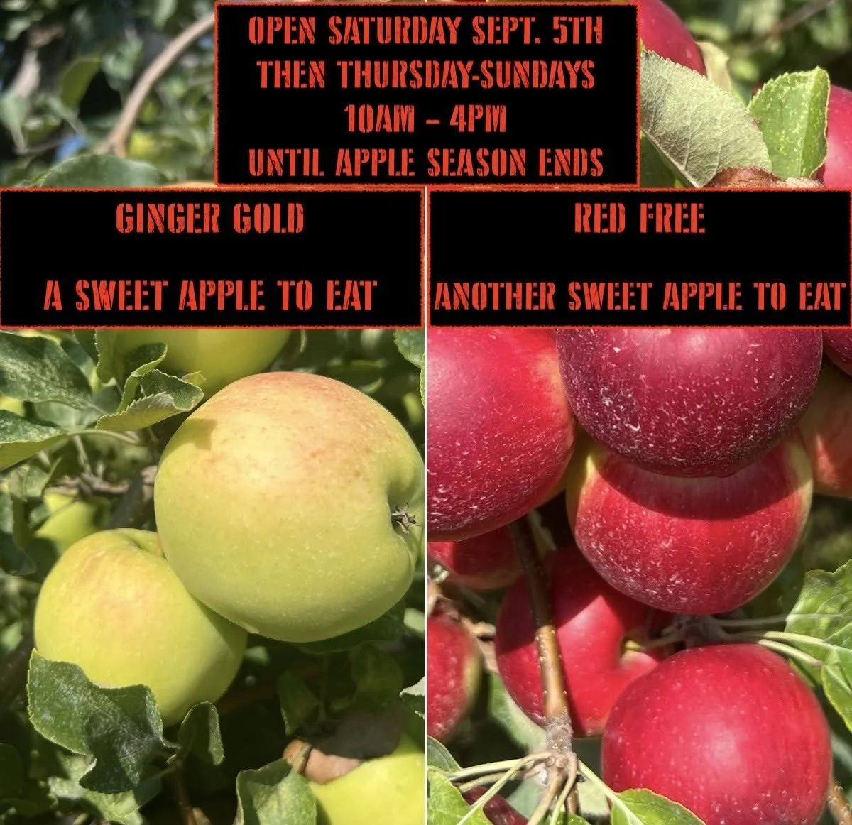 2575 S SHILOH ROAD, STURGEON BAY WIS