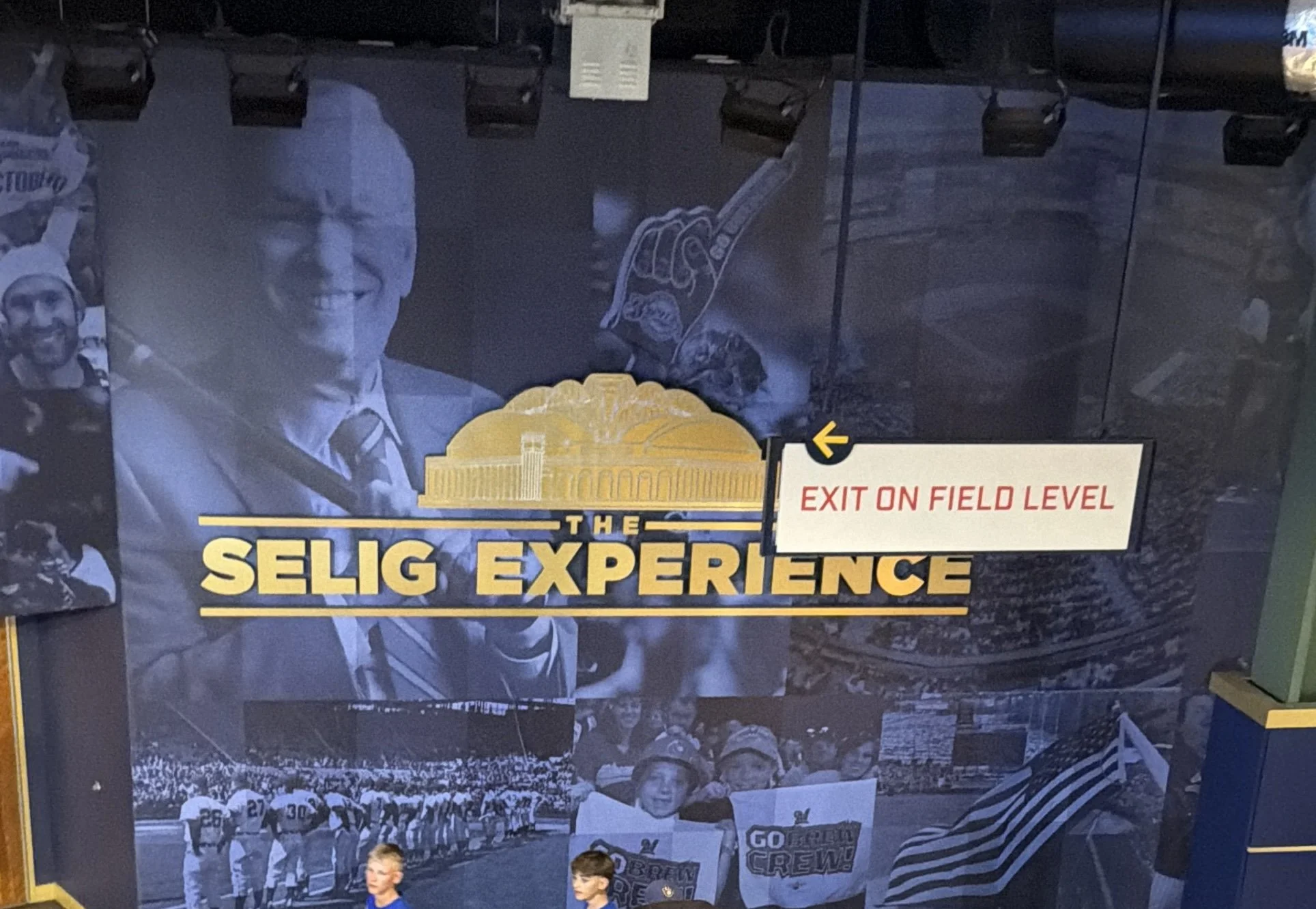 Selig Experience