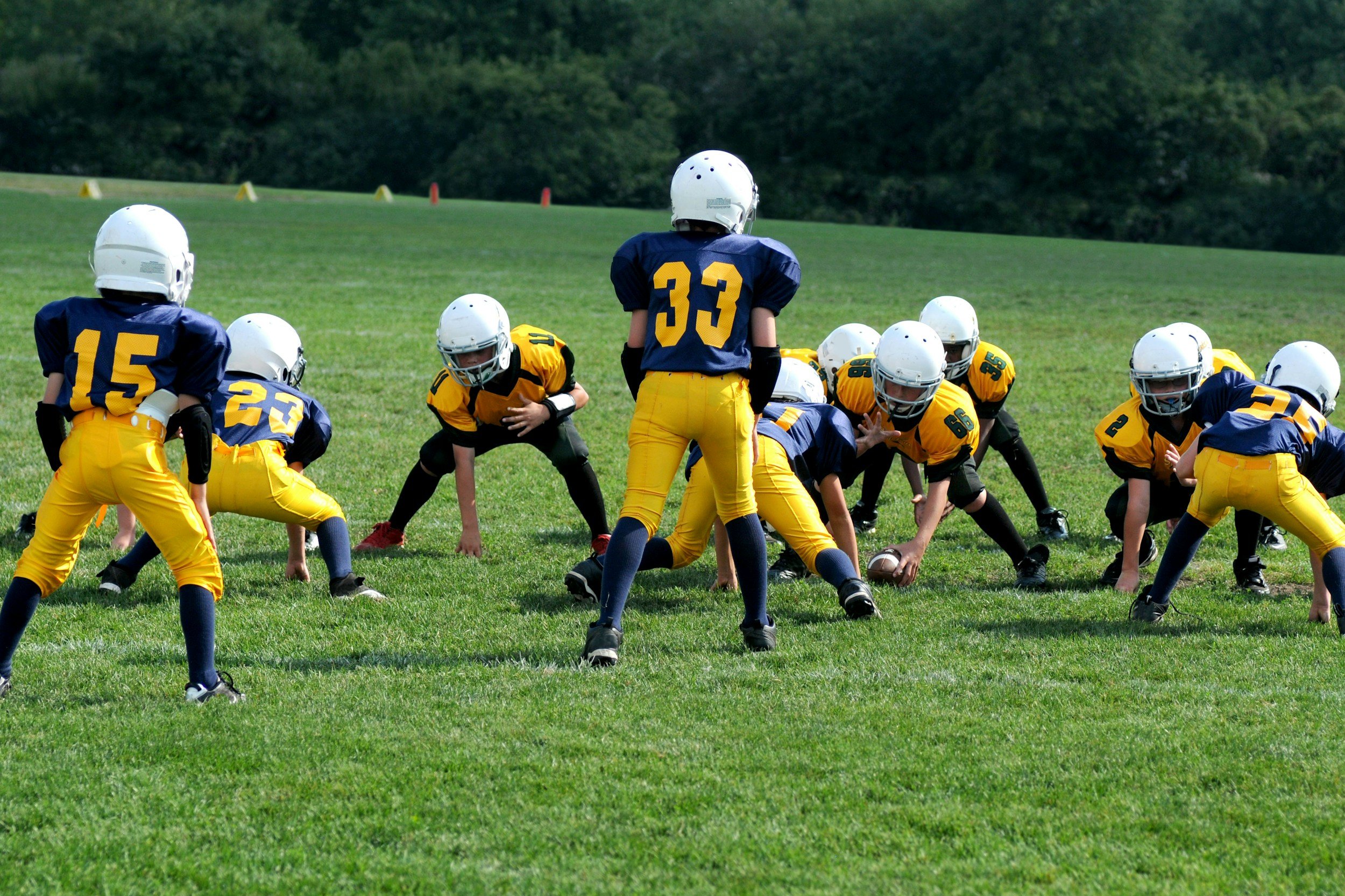 Milwaukee North Shore Youth Football Guide