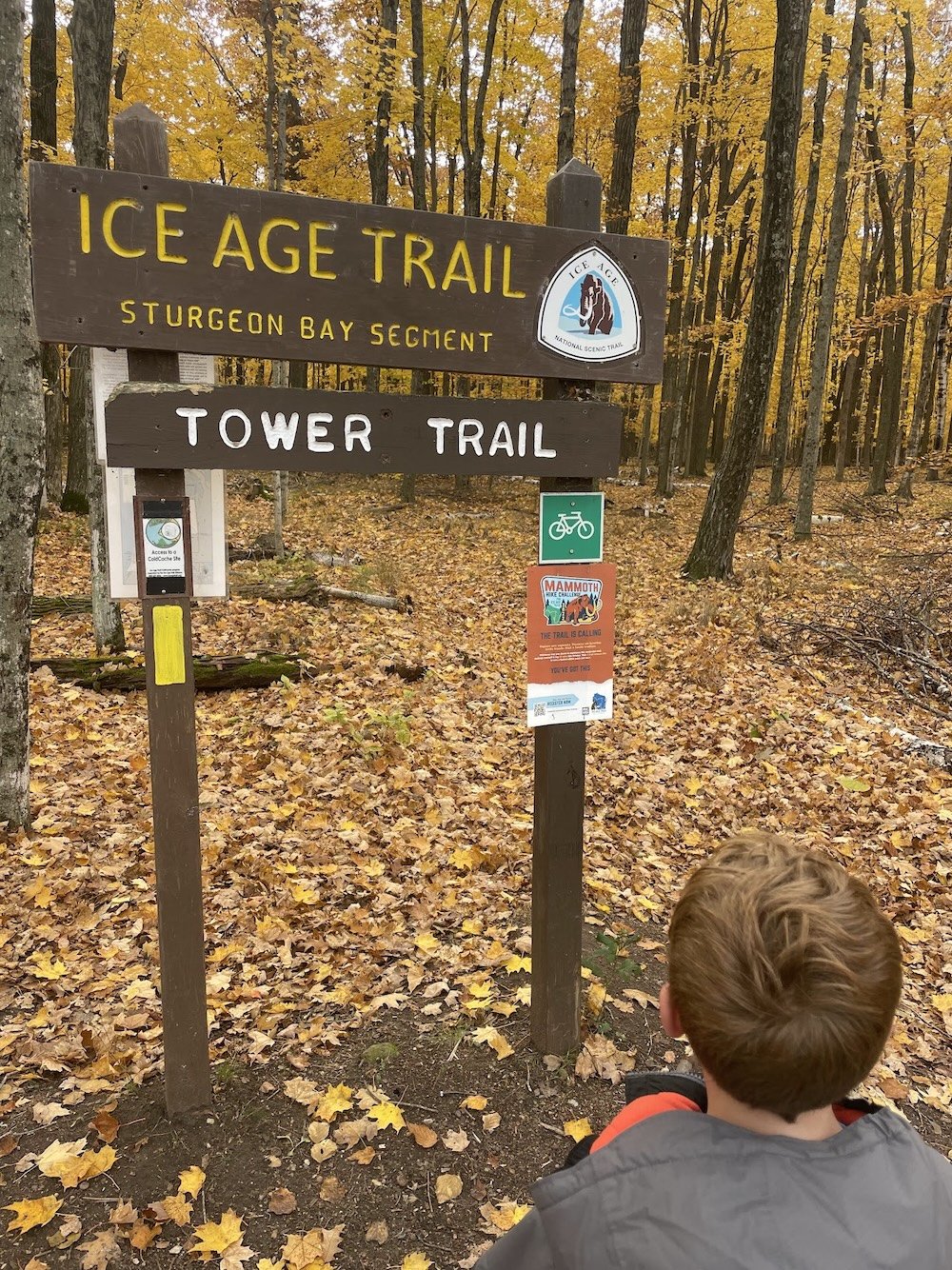 Explore the Mammoth Hike Challenge as a Family This Fall
