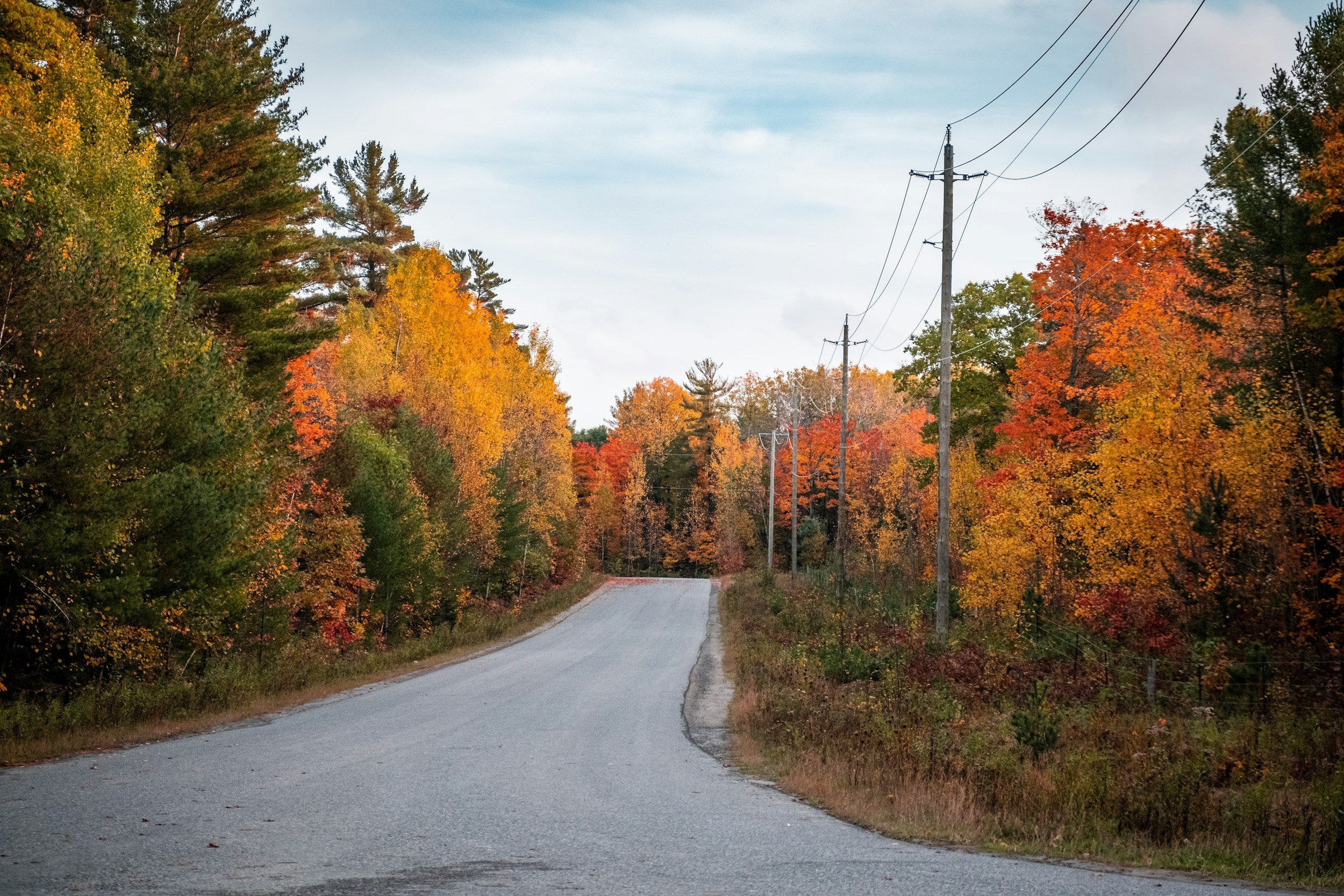 Milwaukee Area Fall Color Report 2025