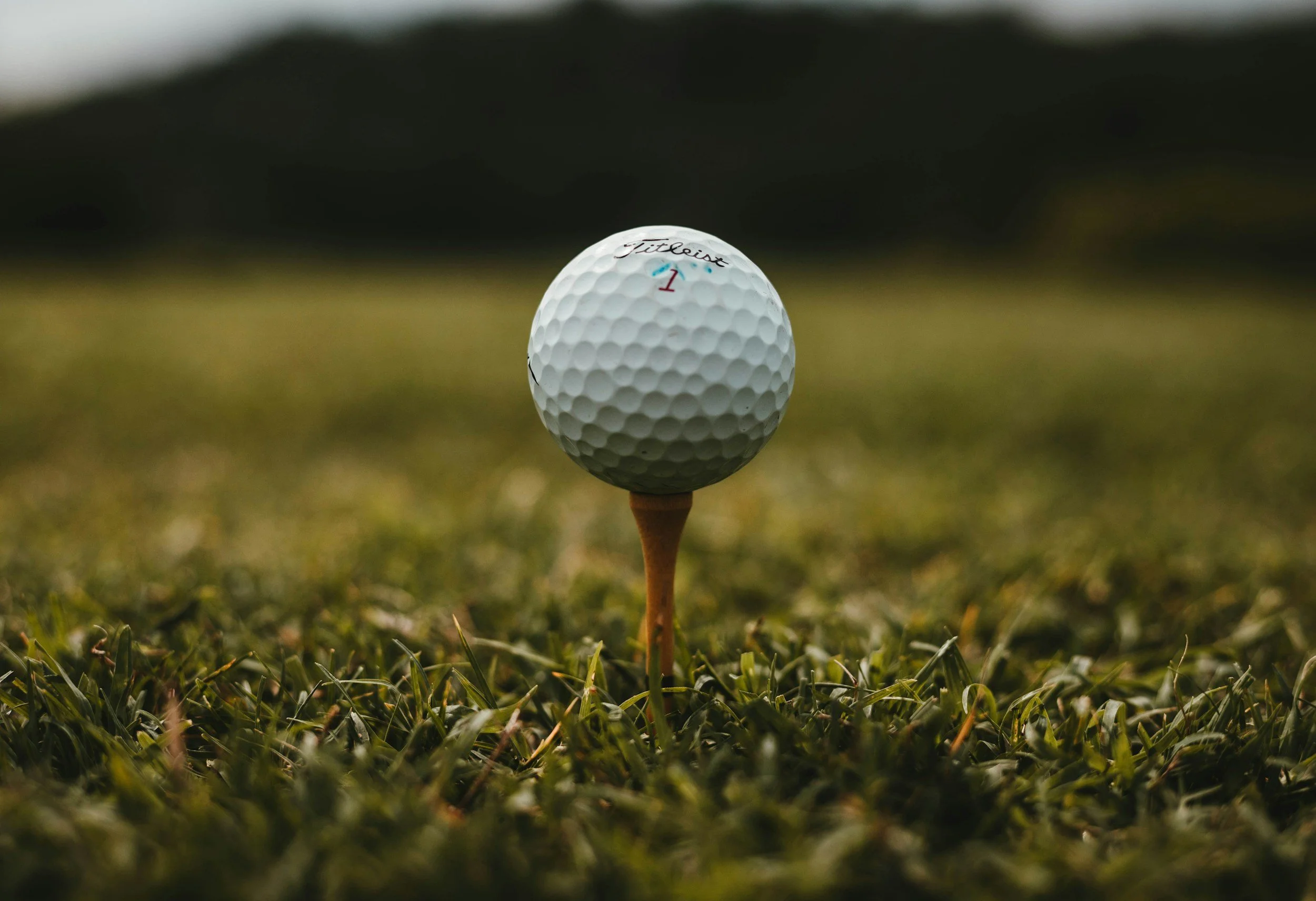 Homestead High School Girls Varsity Golf 2025 Schedule