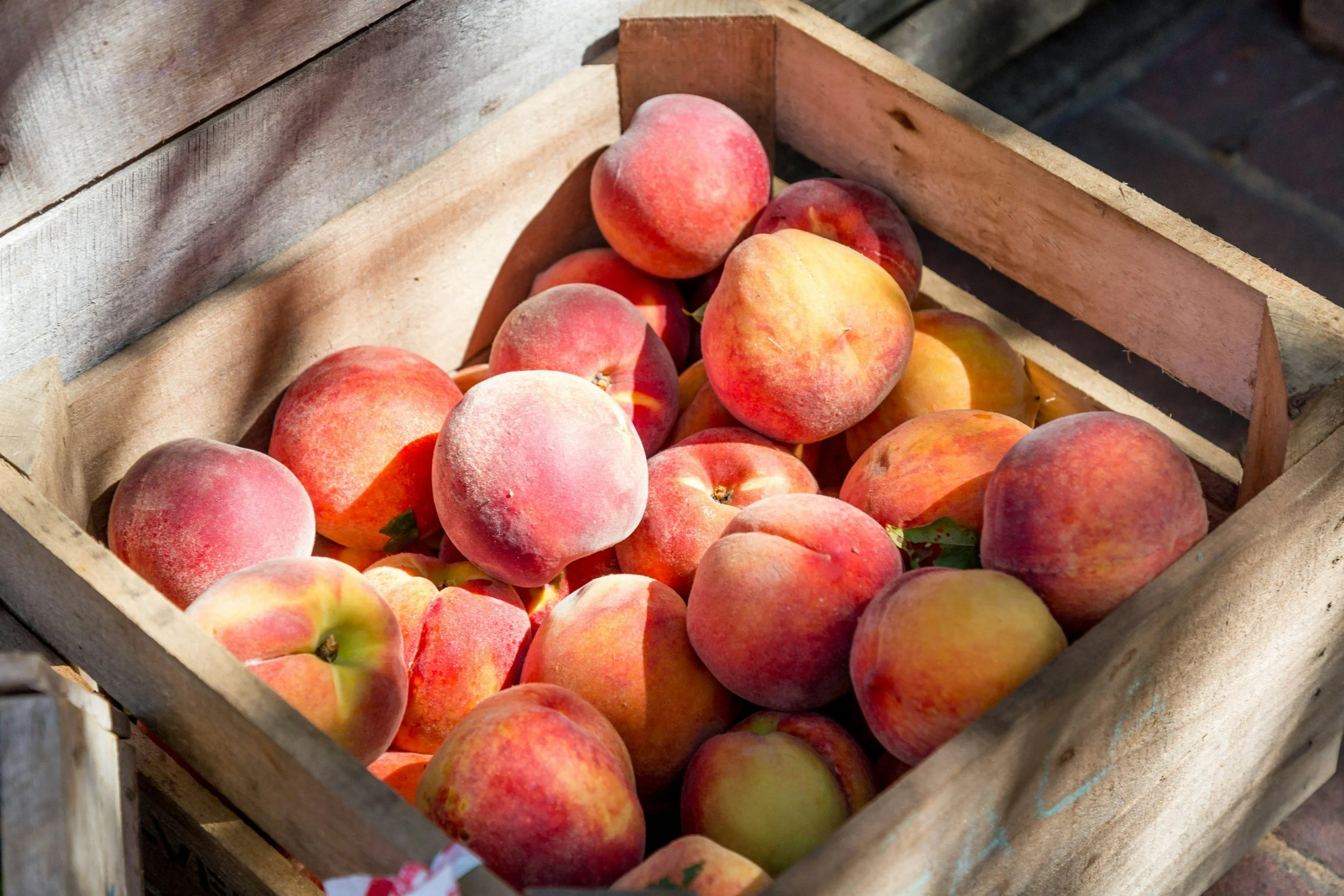 Peach Picking Guide to Milwaukee