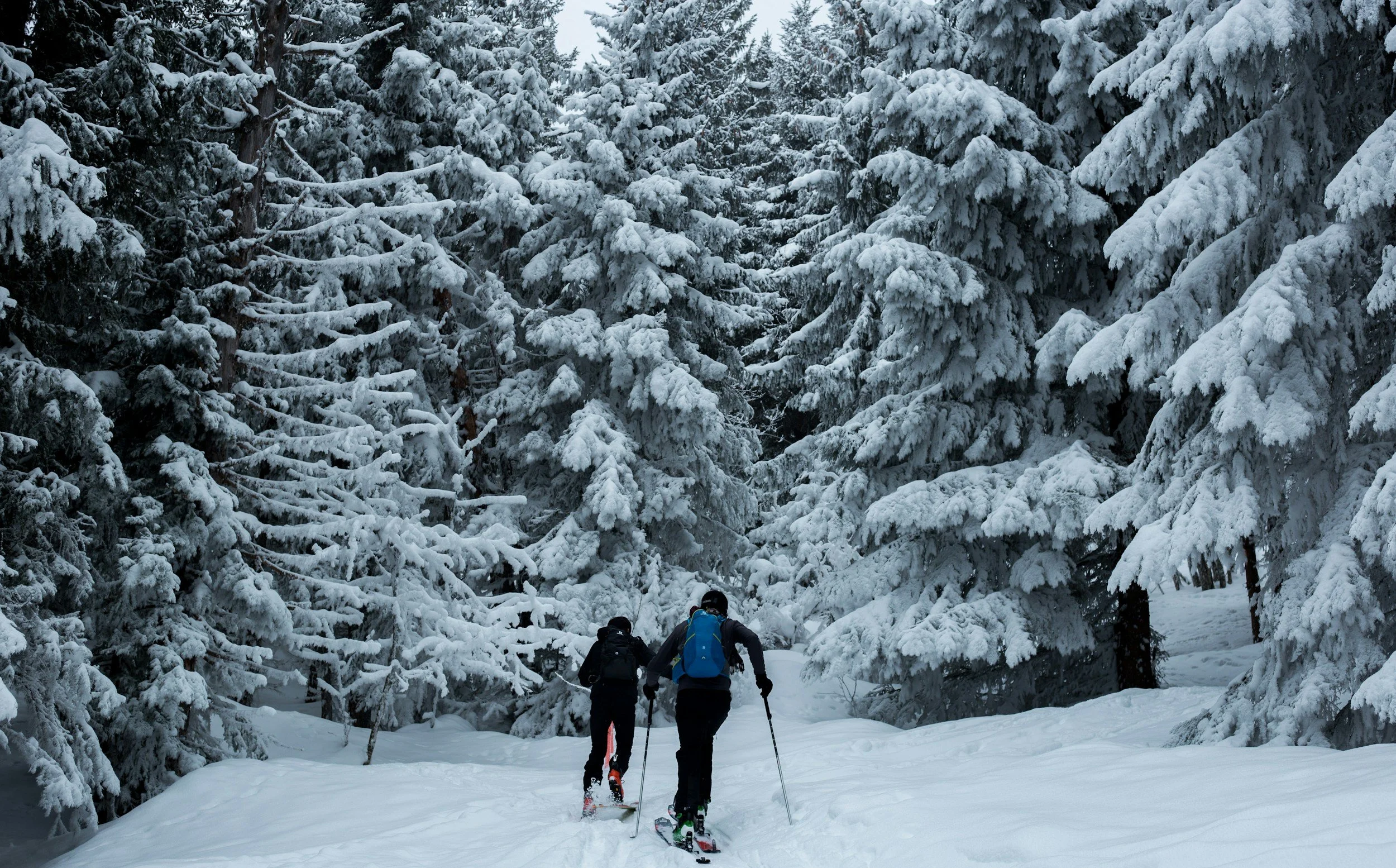Cross-Country Skiing Near Milwaukee: Best Trails Guide