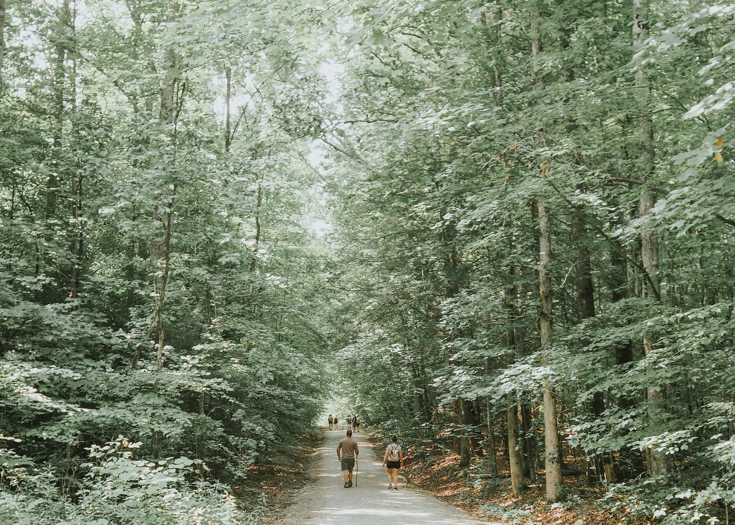 Road Trip: South Central Wisconsin to Western Wisconsin