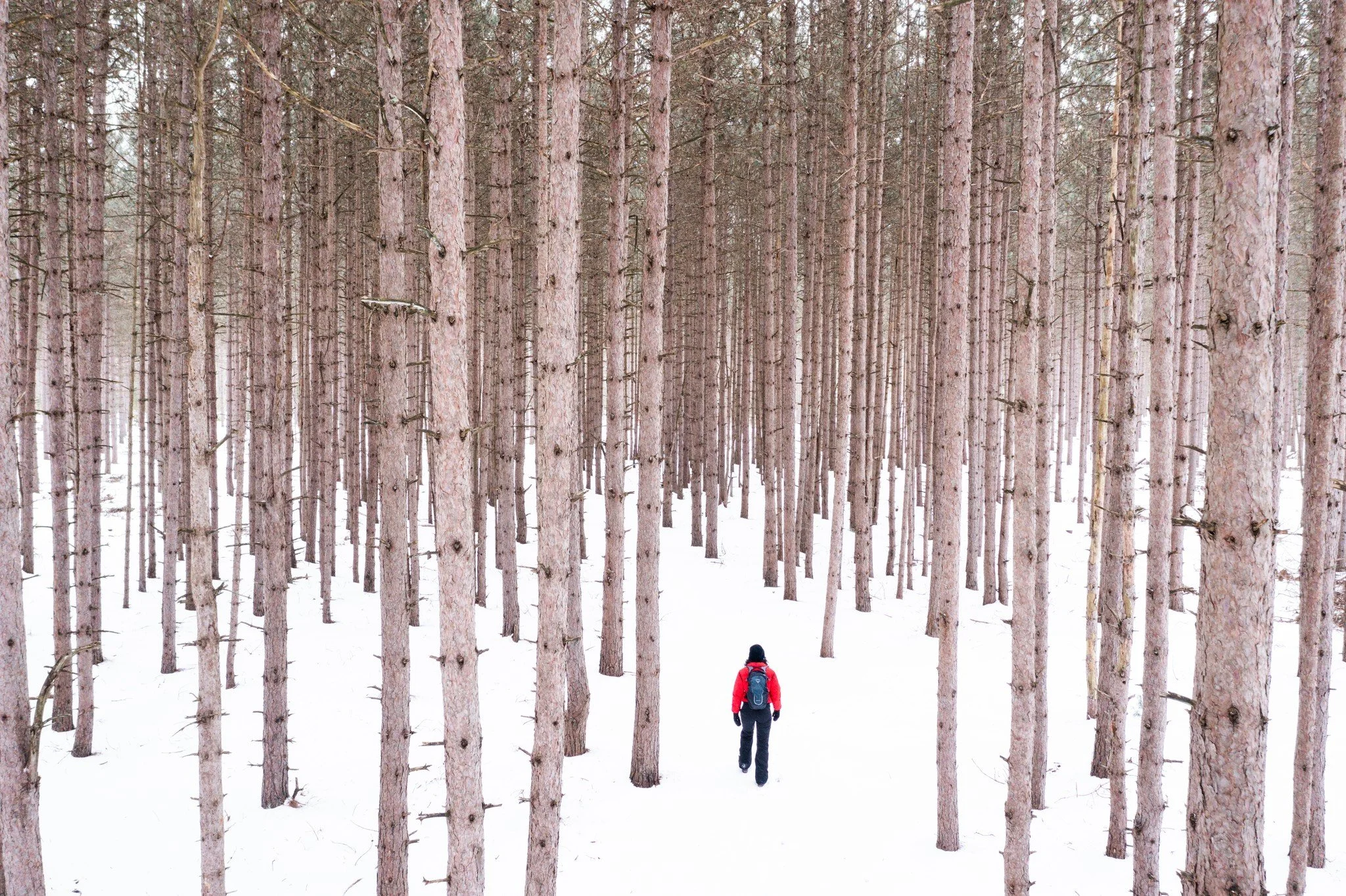 Door County in Winter: The Ultimate Family Guide