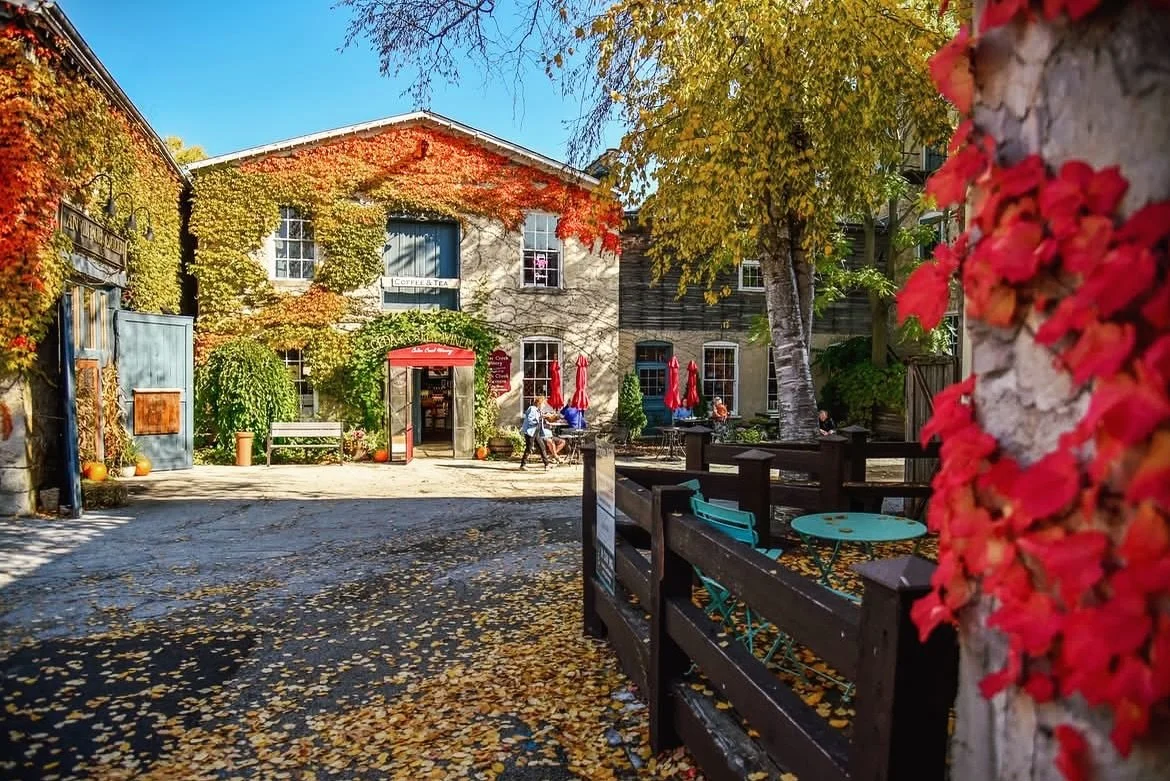 Cedarburg Restaurants: 40+ Lunch and Dinner Spots