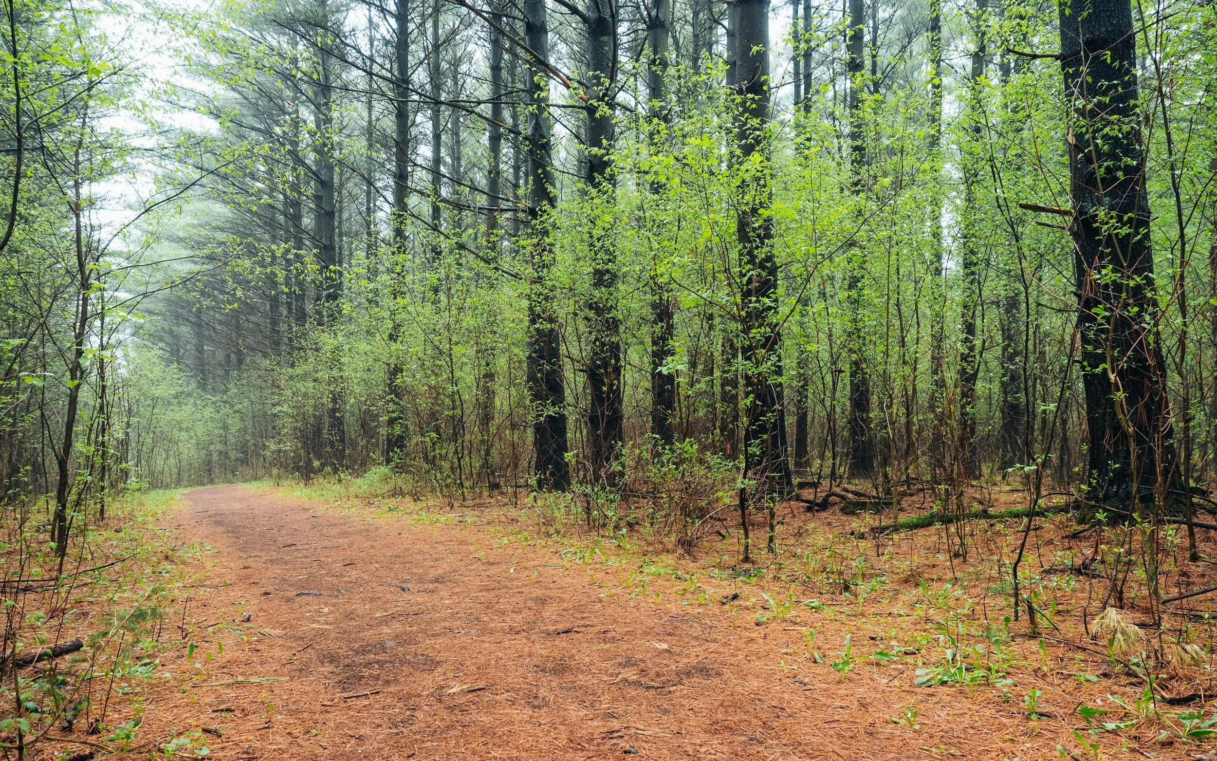 Ice Age Trail: The Ultimate Wisconsin Hiking Guide