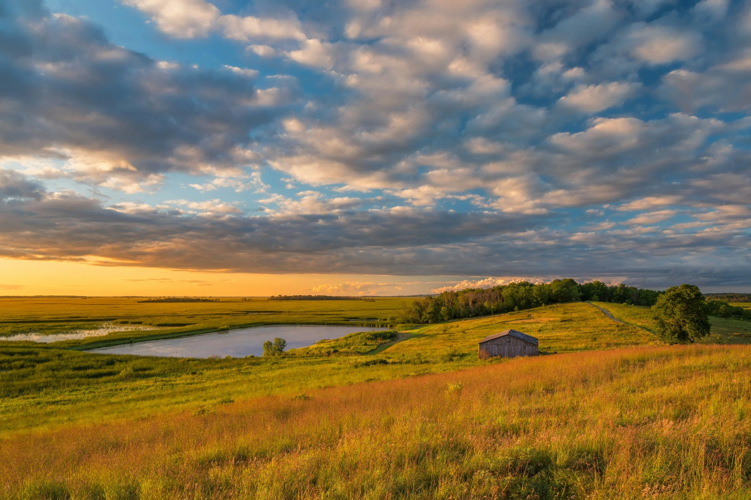 Wisconsin fields