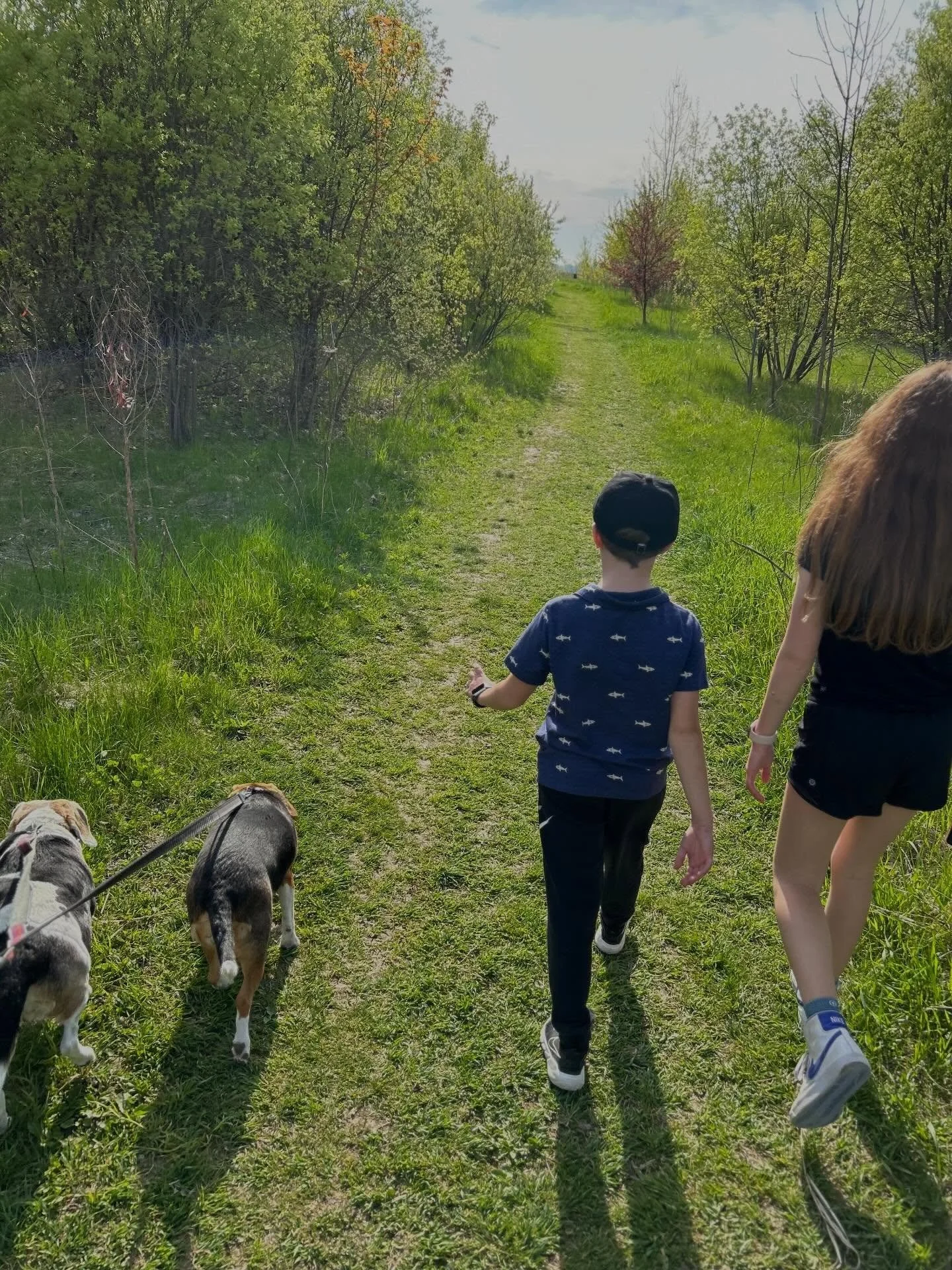 Happy #NationalPetDay! 

Share a photo of your adventure with your best friend