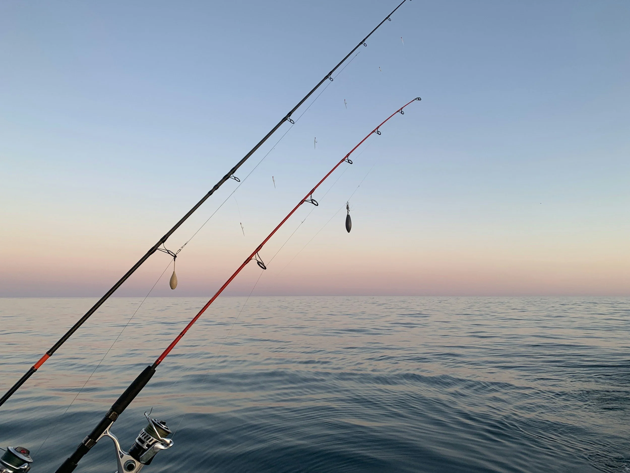Fishing charters