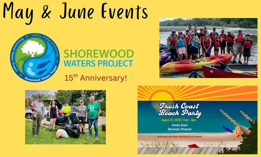Shorewood Waters Celebrates 15 Years With a Beach Party