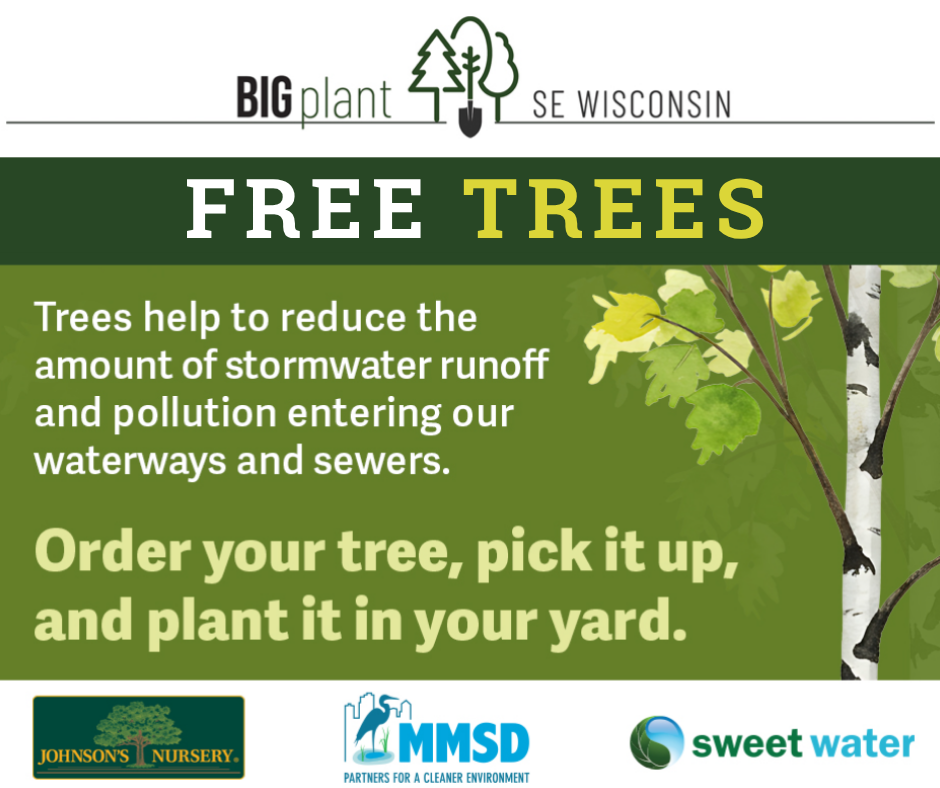 Free Native Wisconsin Trees Available to Fox Point Residents