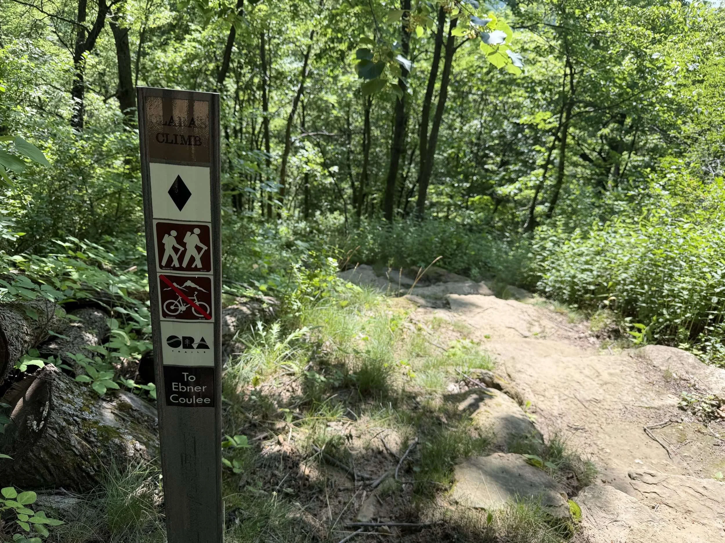 grandad-bluff-lanas-climb-trail-sign.jpg