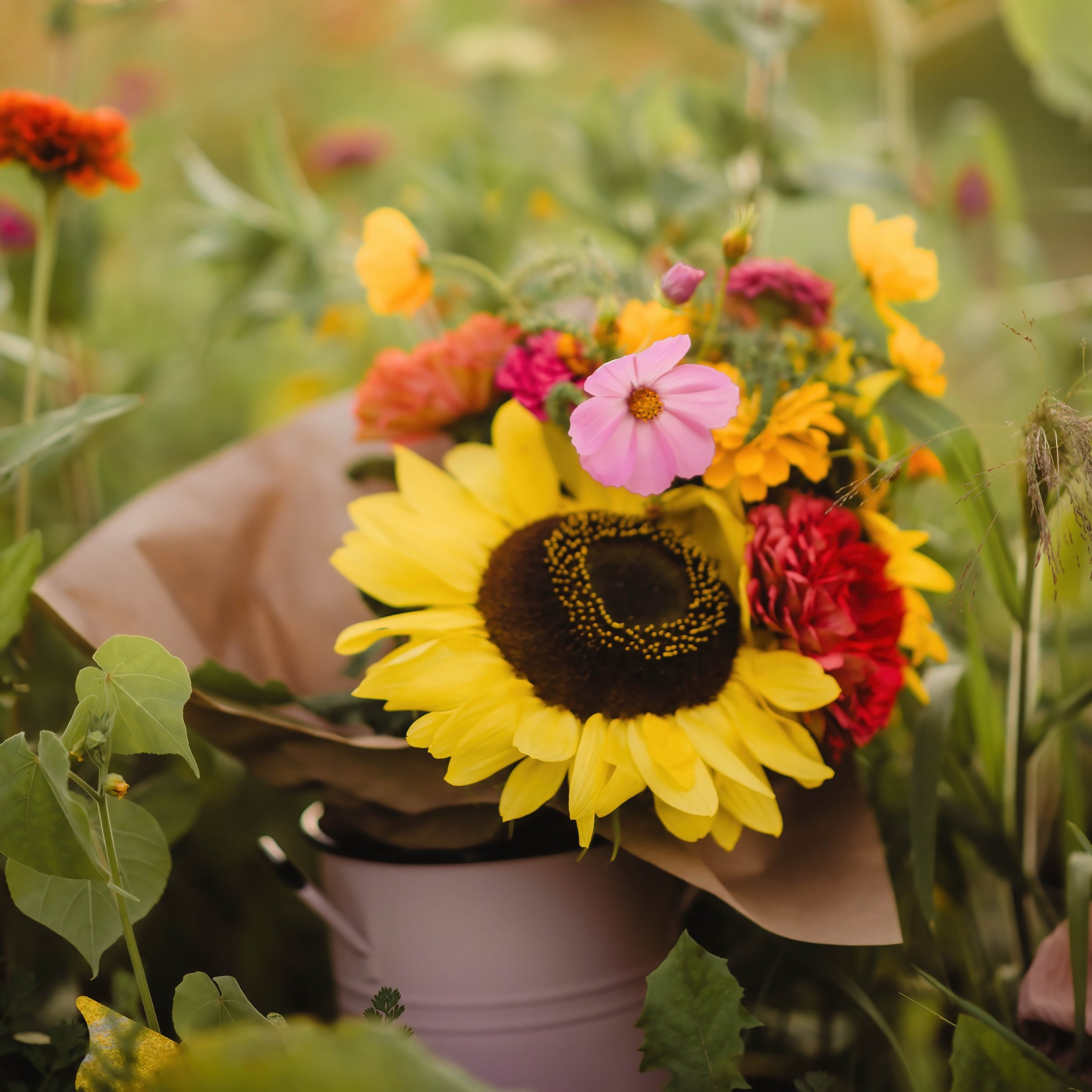 🌻 GIVEAWAY: Win a private flower-picking experience! 🌻

North Shore Family Adventures and O&rsquo;Malley Family Farm &amp; Nursery are giving one family private access to the farm&rsquo;s beautiful flower field after its public u-pick weekends.

Th