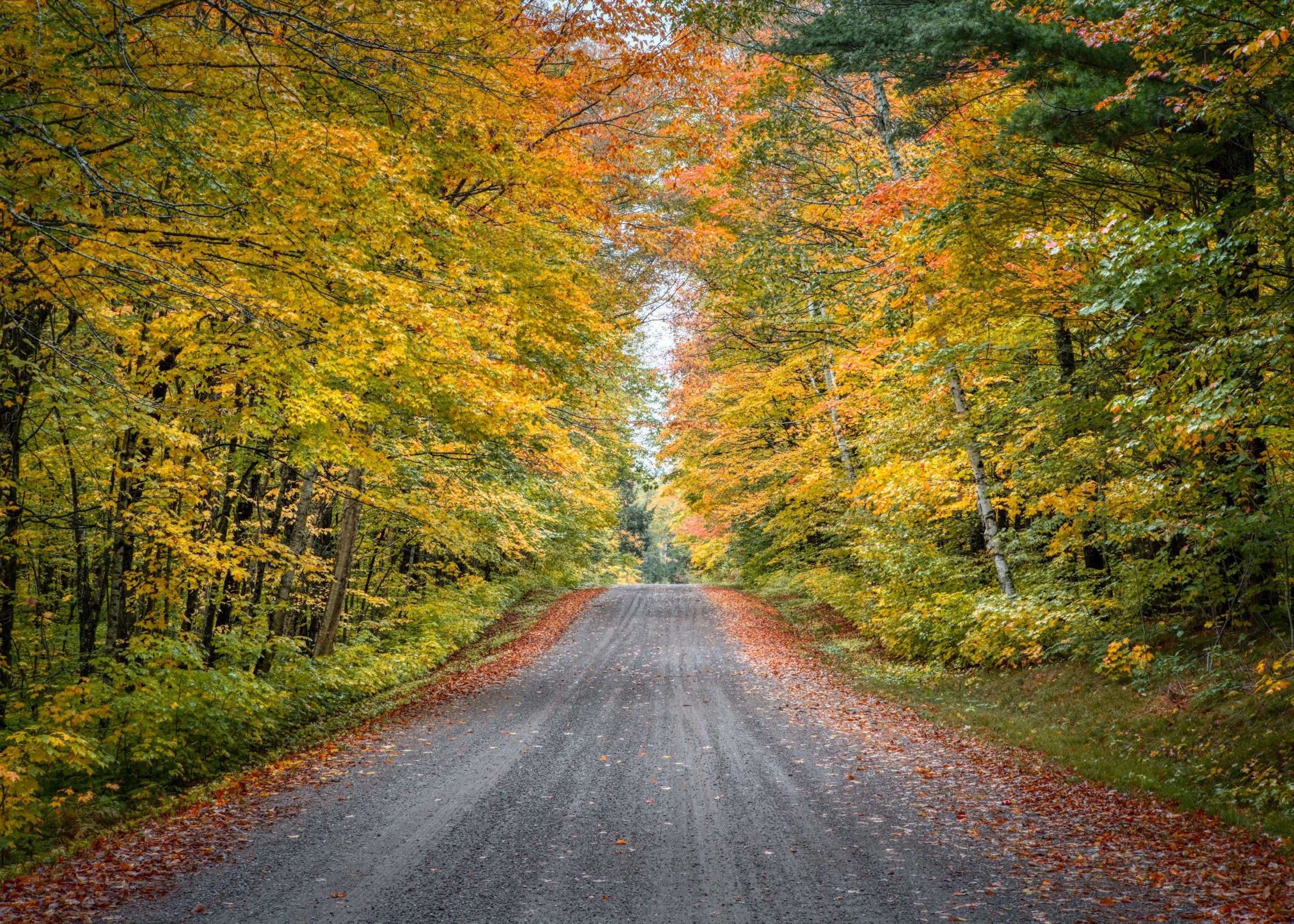 Wisconsin Rustic Roads: Every Route by Region