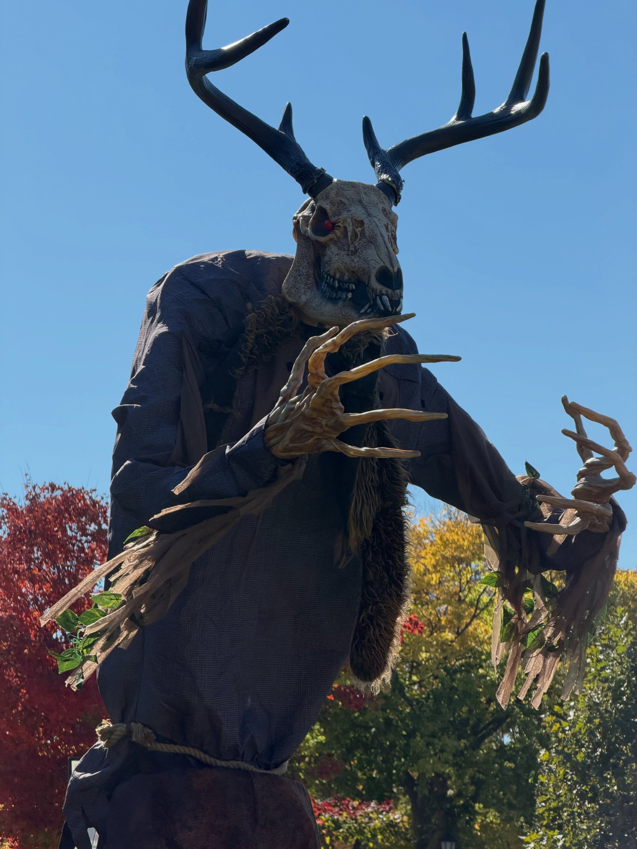 Halloween scenes from the North Shore!