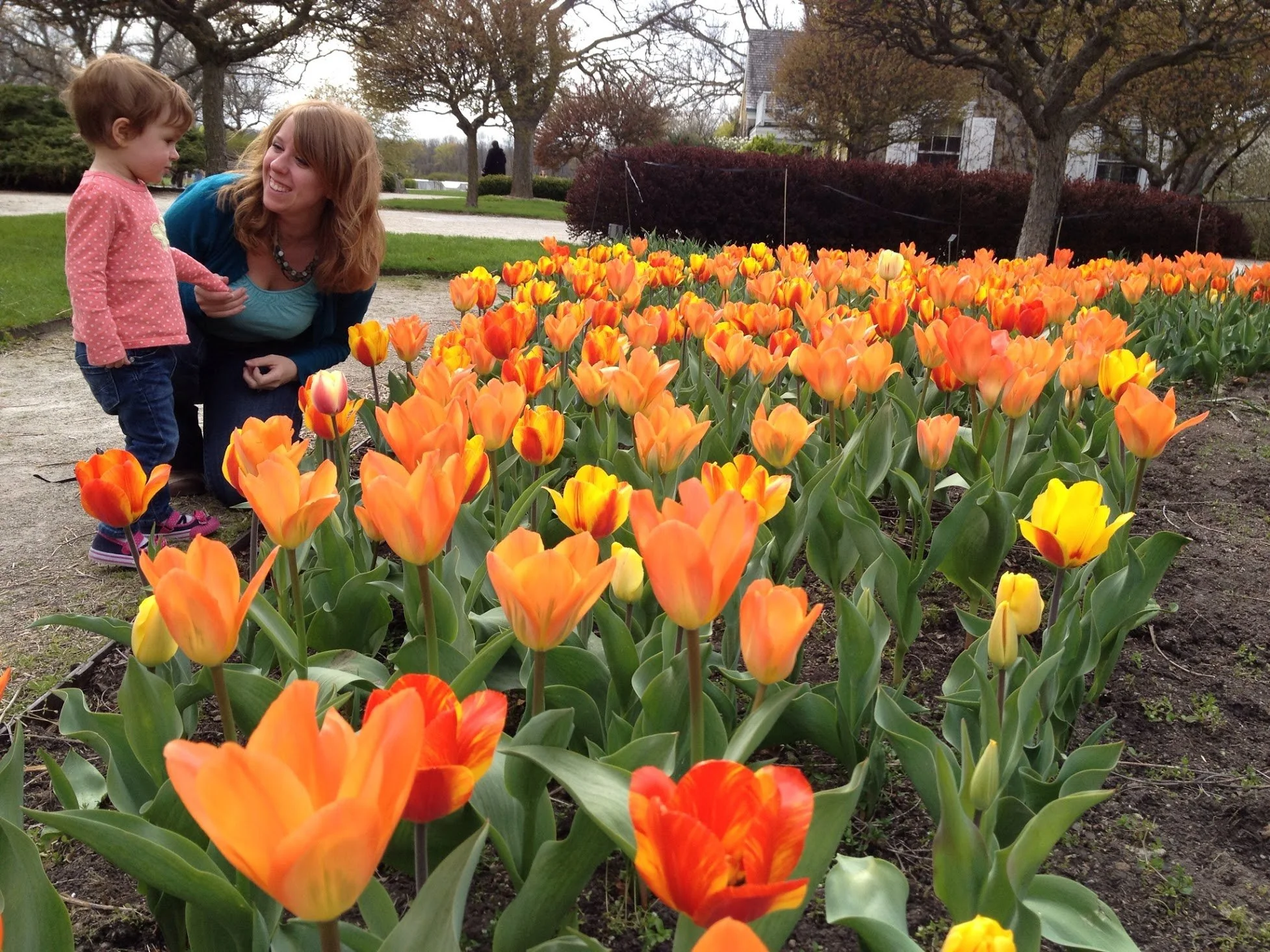 Spring: peak tulip season