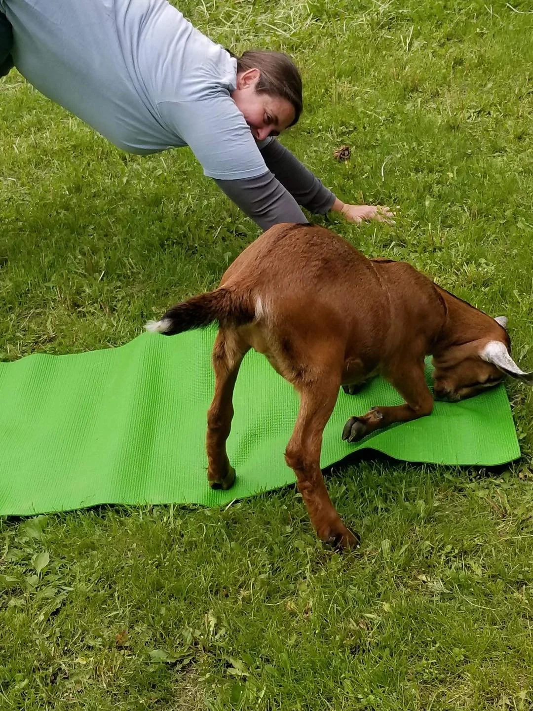 Green's Friendship Acres