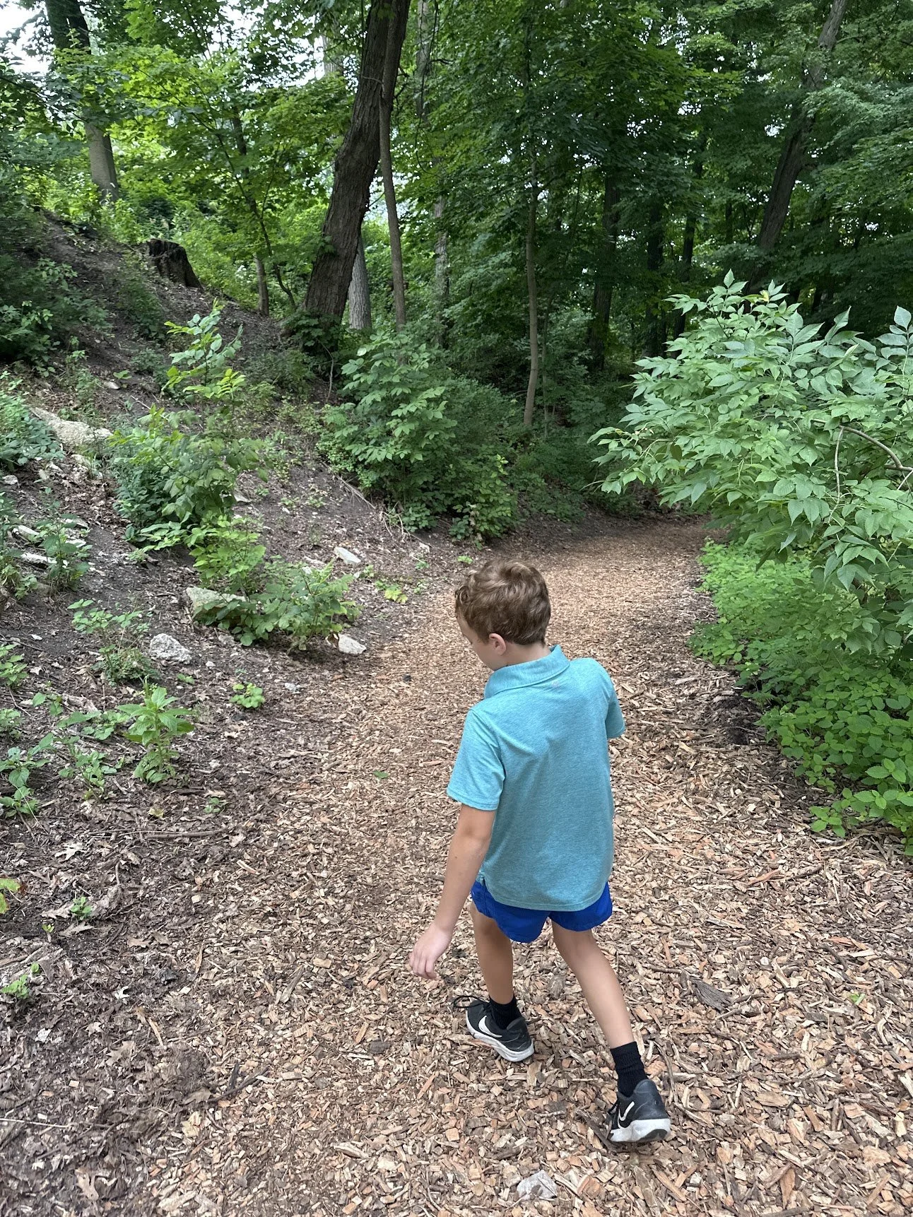 Trail