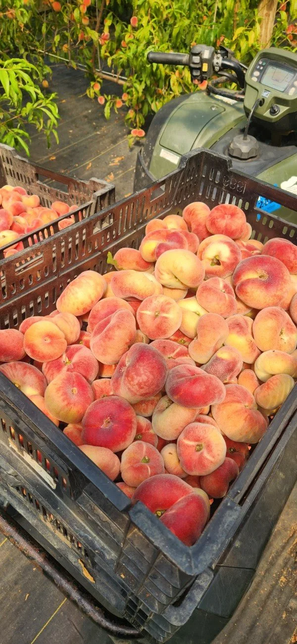 Barthel Fruit Farm