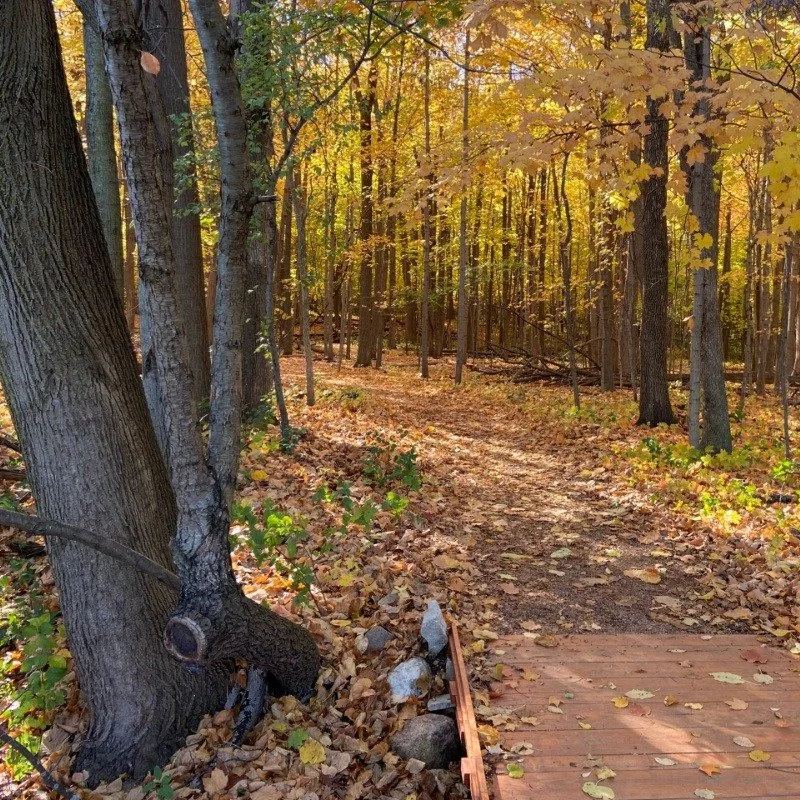 Doctor's Park in Fox Point: Highlights and what to see